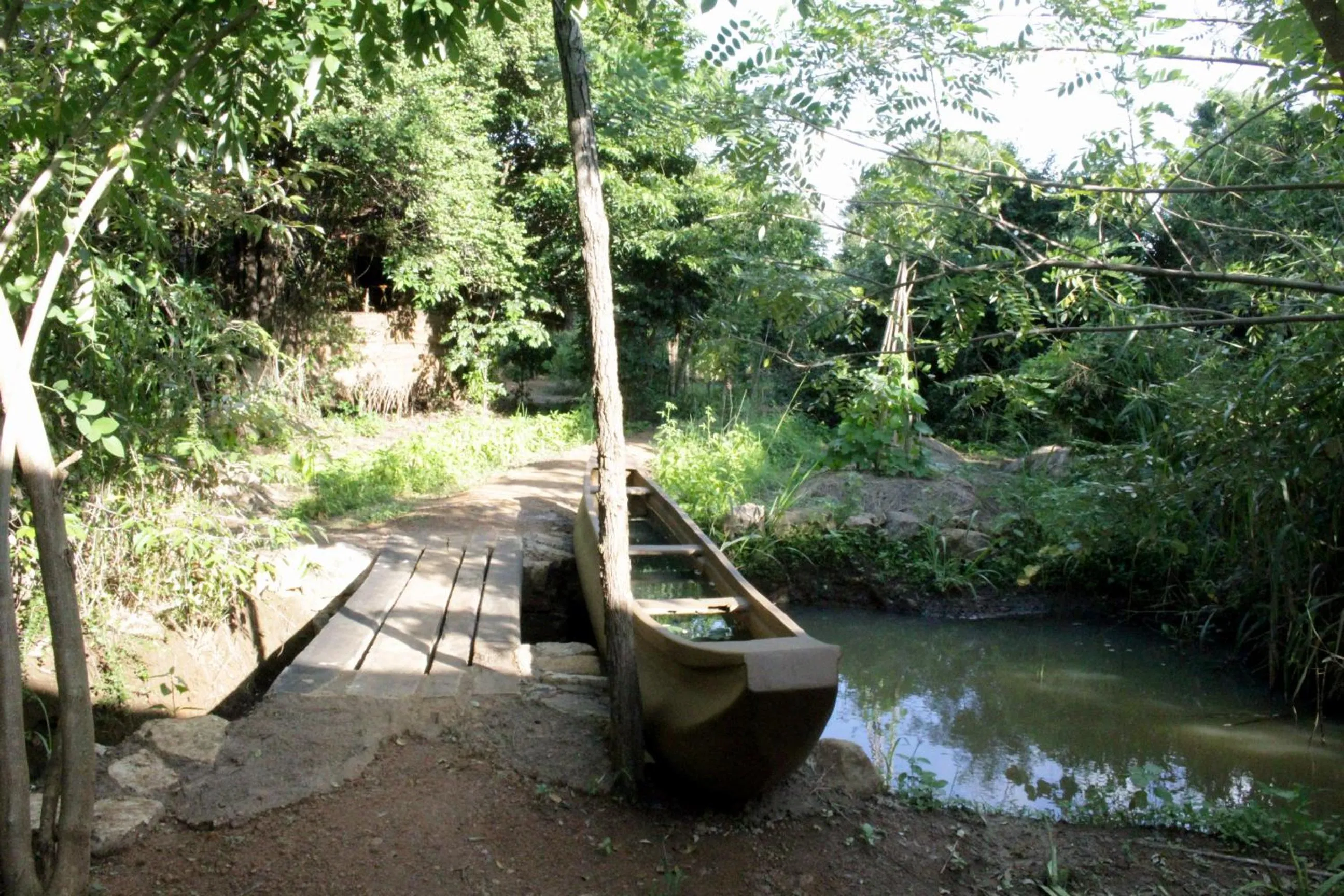Garden view in Athreya Ayurveda Ashram