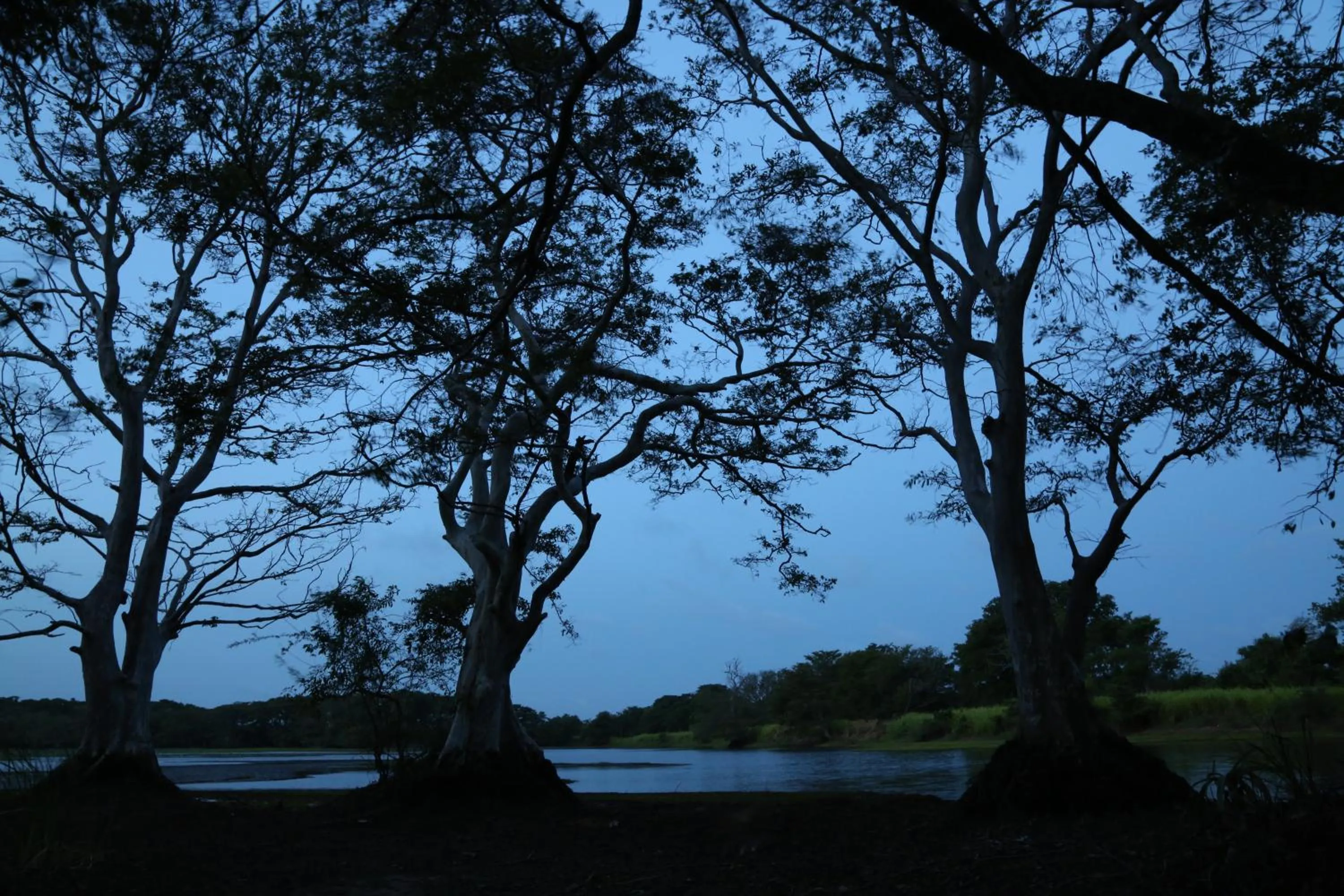 Lake view in Athreya Ayurveda Ashram