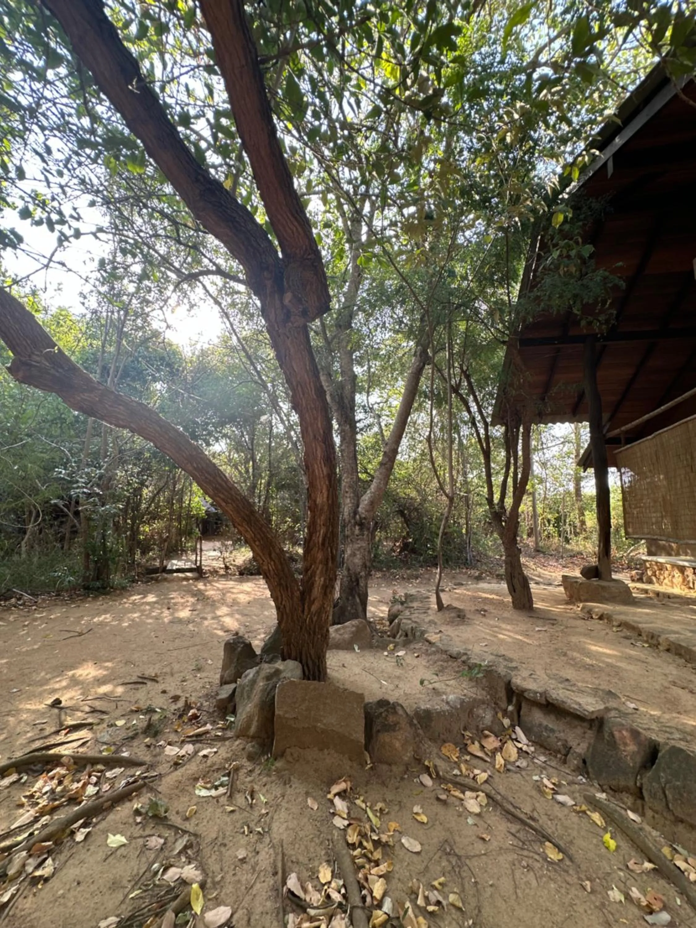 Athreya Ayurveda Ashram