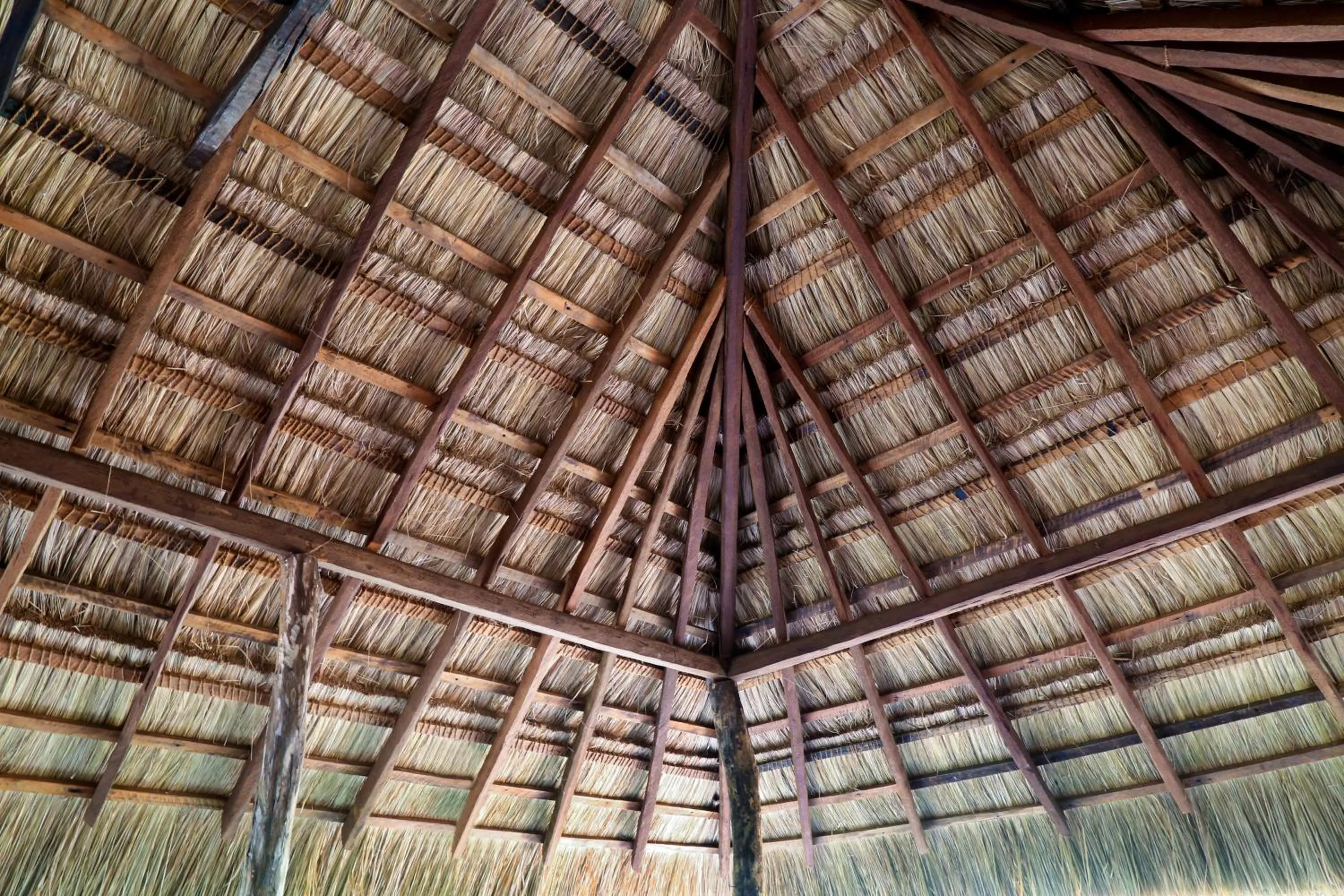 Area and facilities in Athreya Ayurveda Ashram