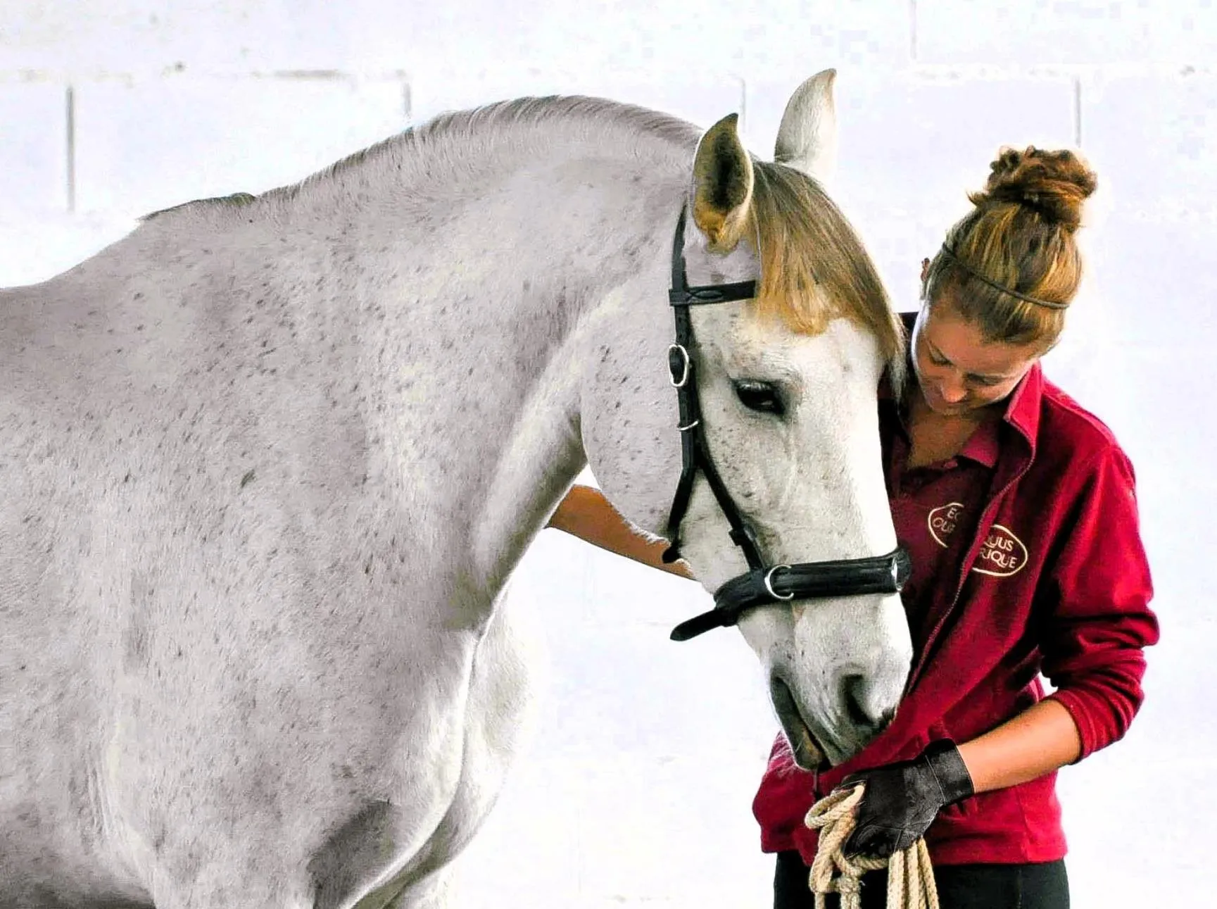 Horse-riding in Monte do Alento - Castro da Cola