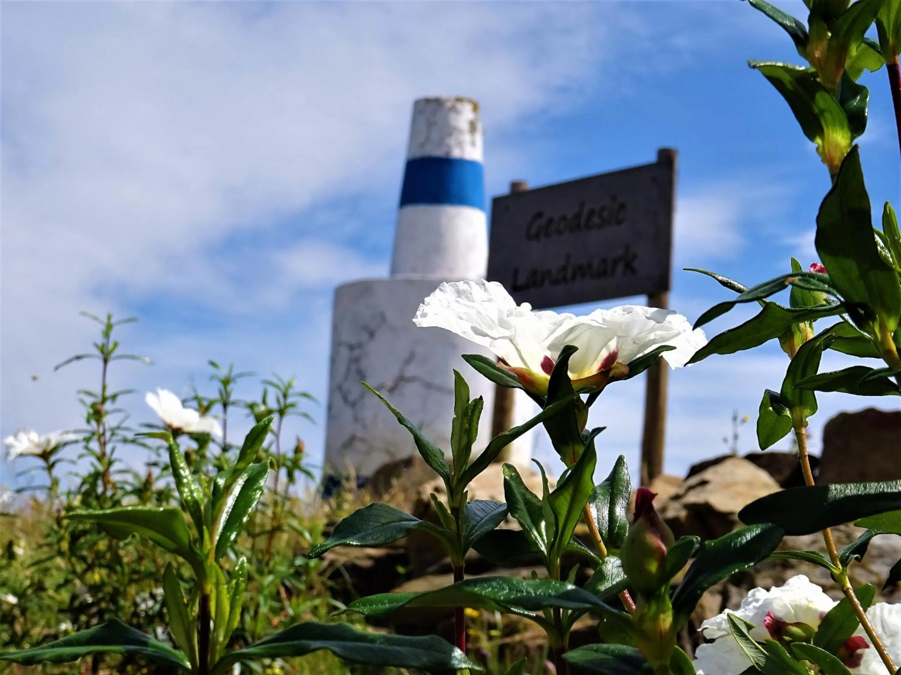 Activities in Monte do Alento - Castro da Cola