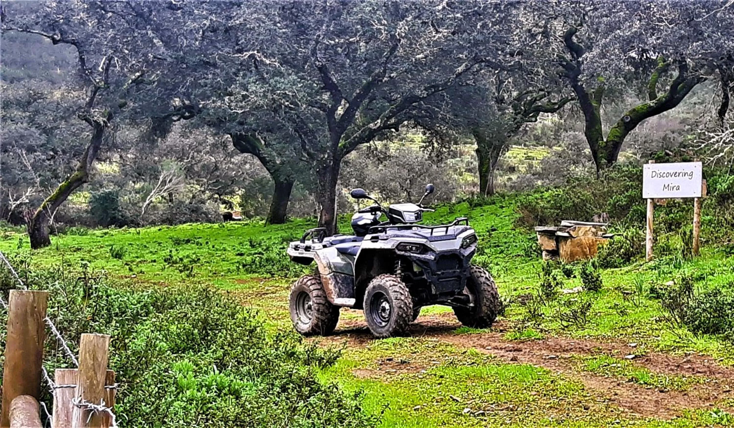 Activities in Monte do Alento - Castro da Cola