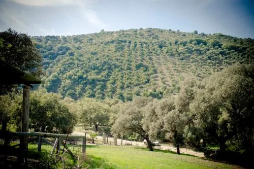 Rancho Calvillo