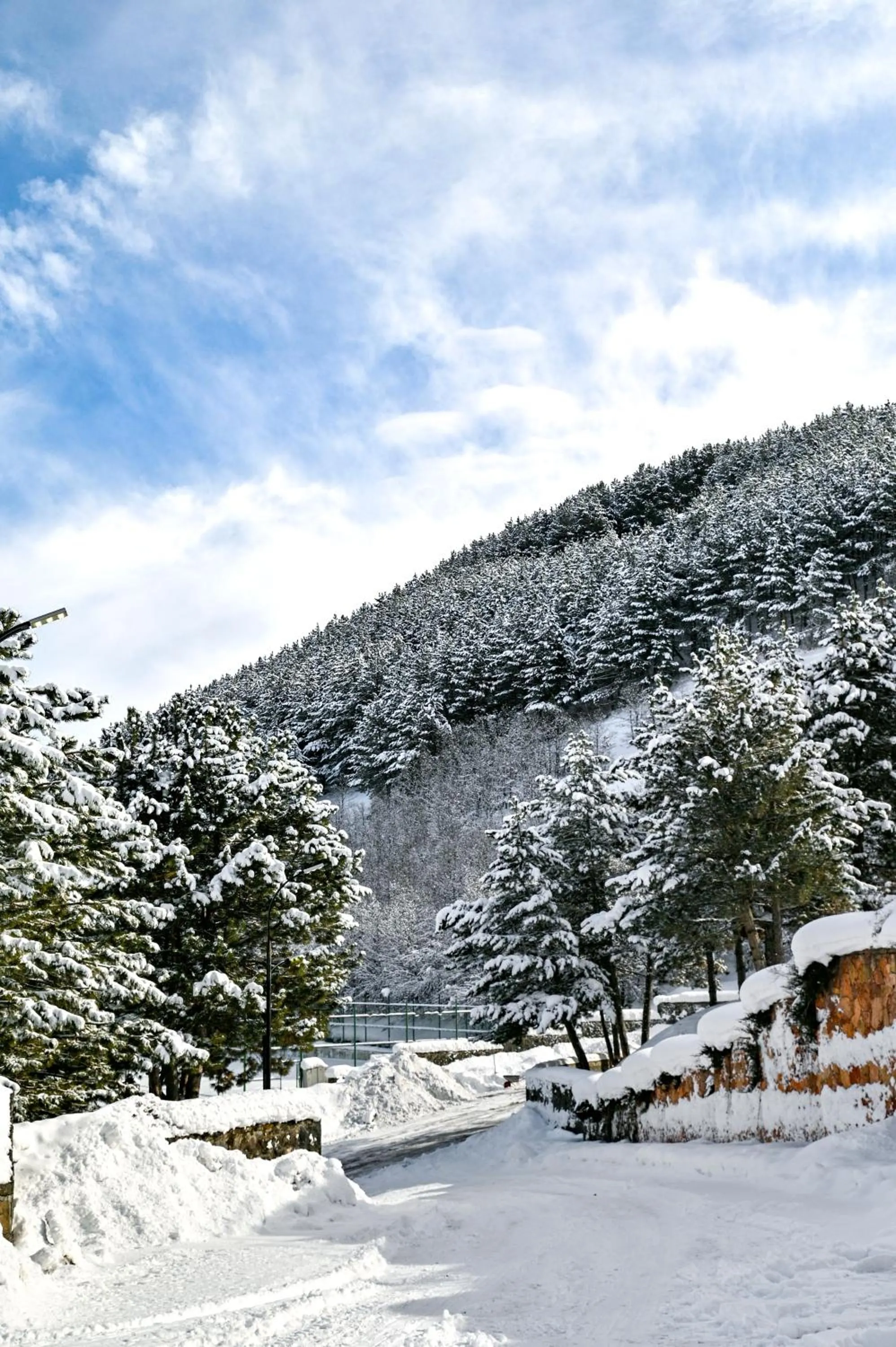 Ararat Resort Tsaghkadzor