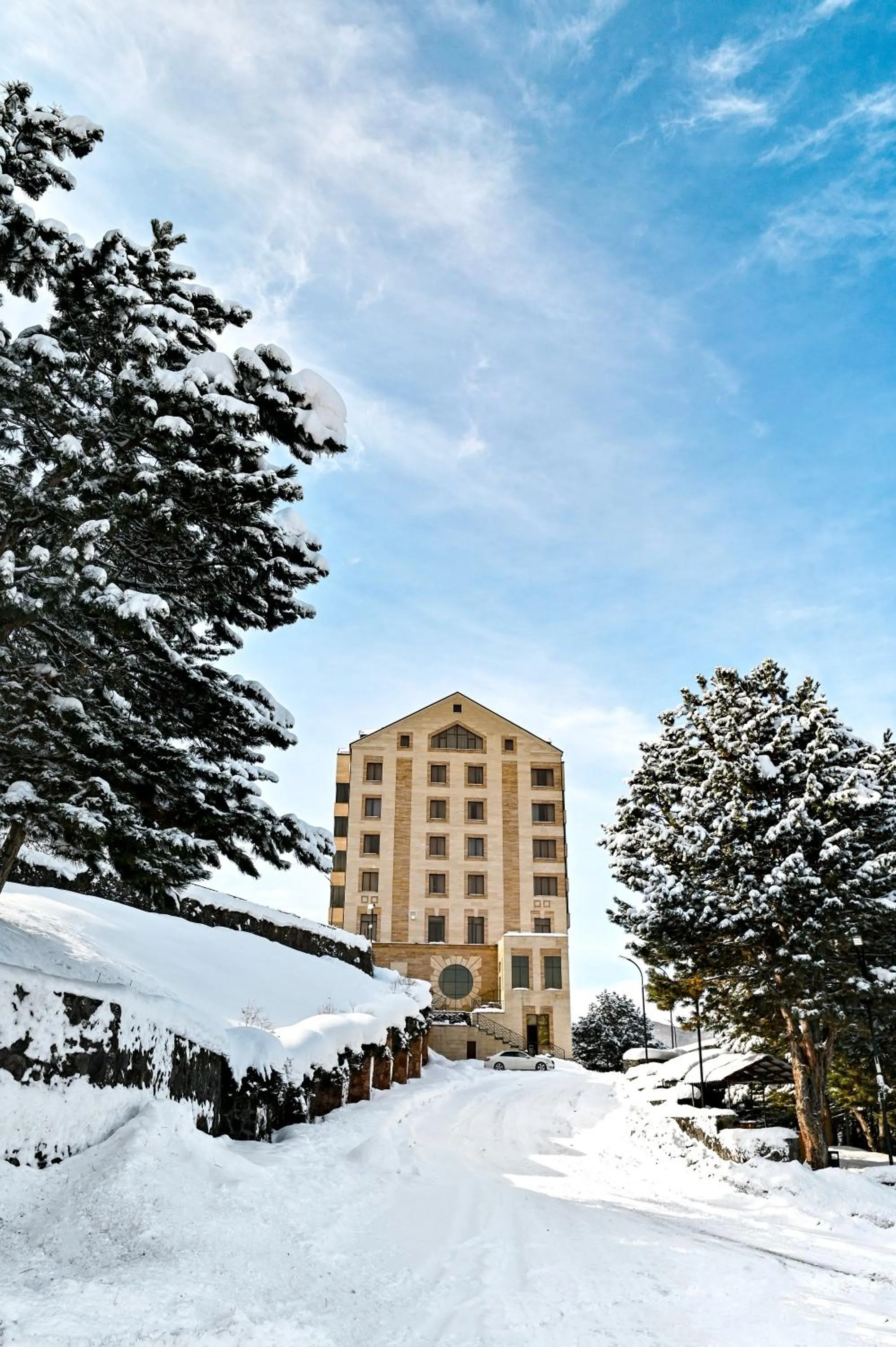 Ararat Resort Tsaghkadzor
