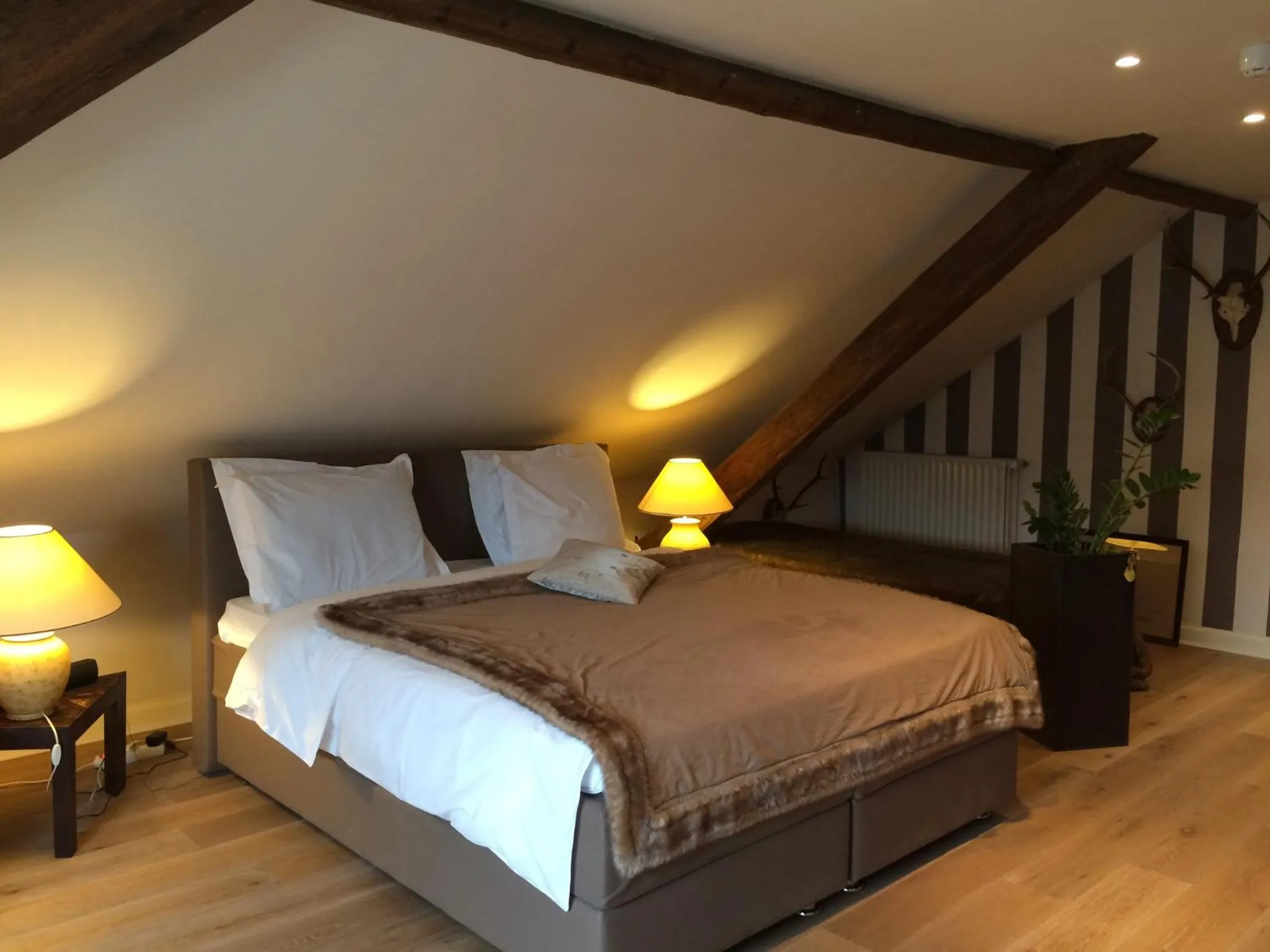 Photo of the whole room, Bed in Hotel Dufays