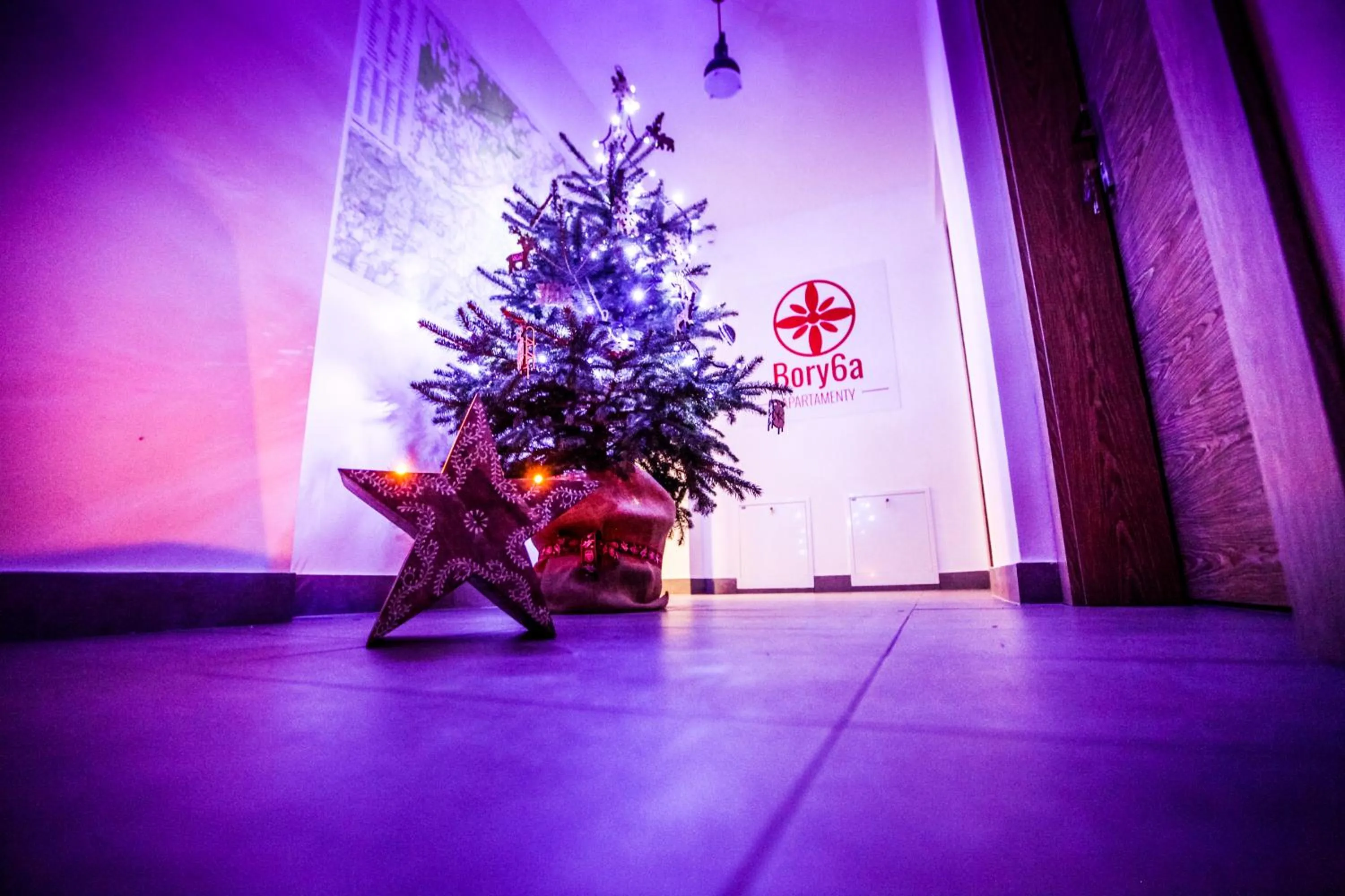 Decorative detail in Bory6a Apartamenty & Free Parking