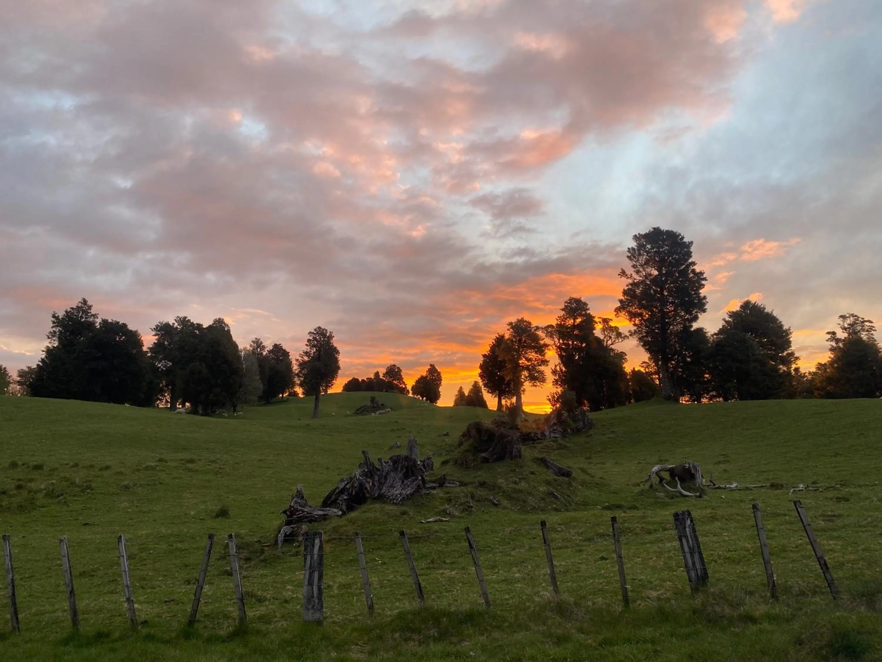 National Park Alpine Lodge