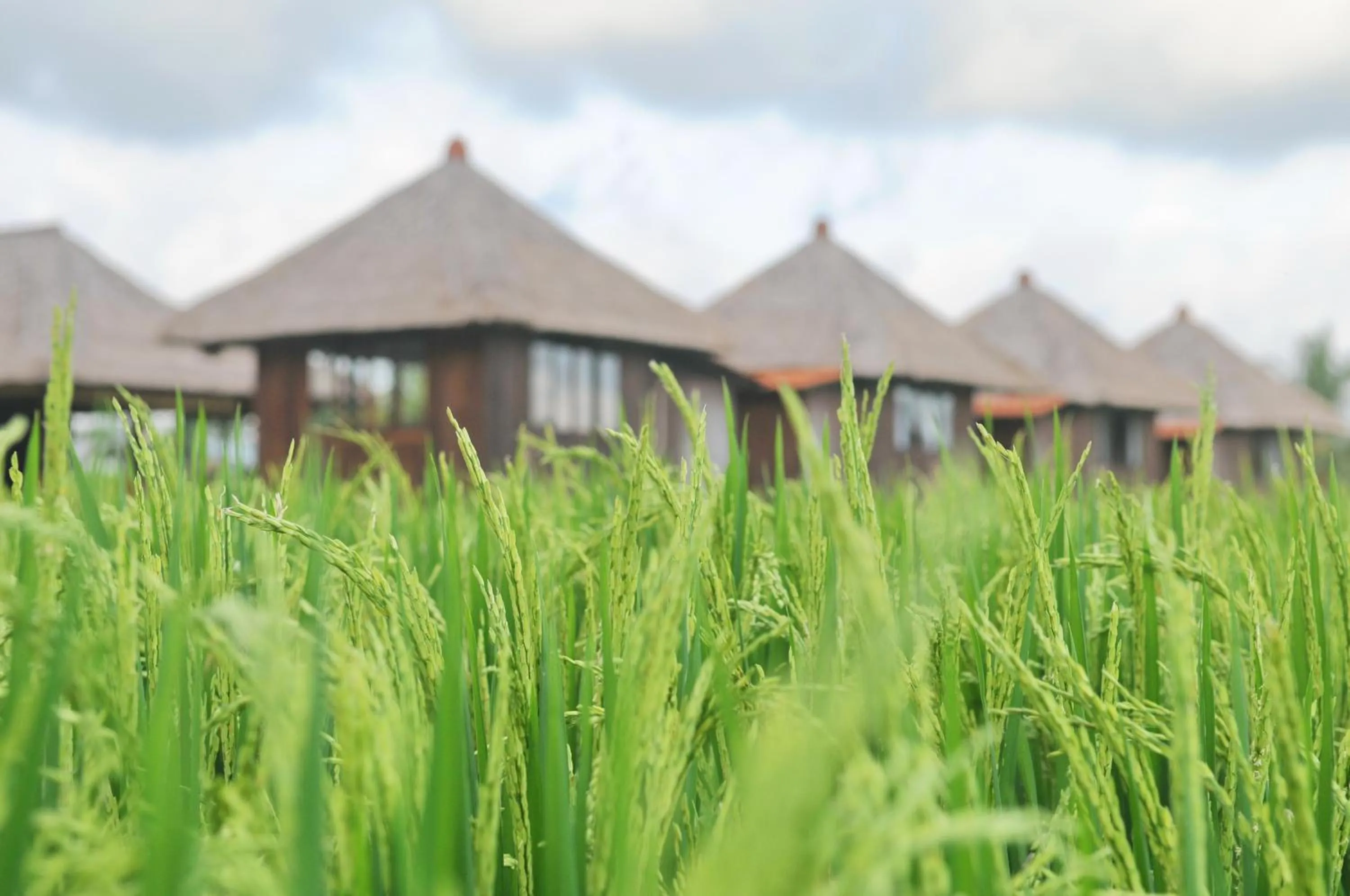 Property building in Taman Bintang Villa Ubud