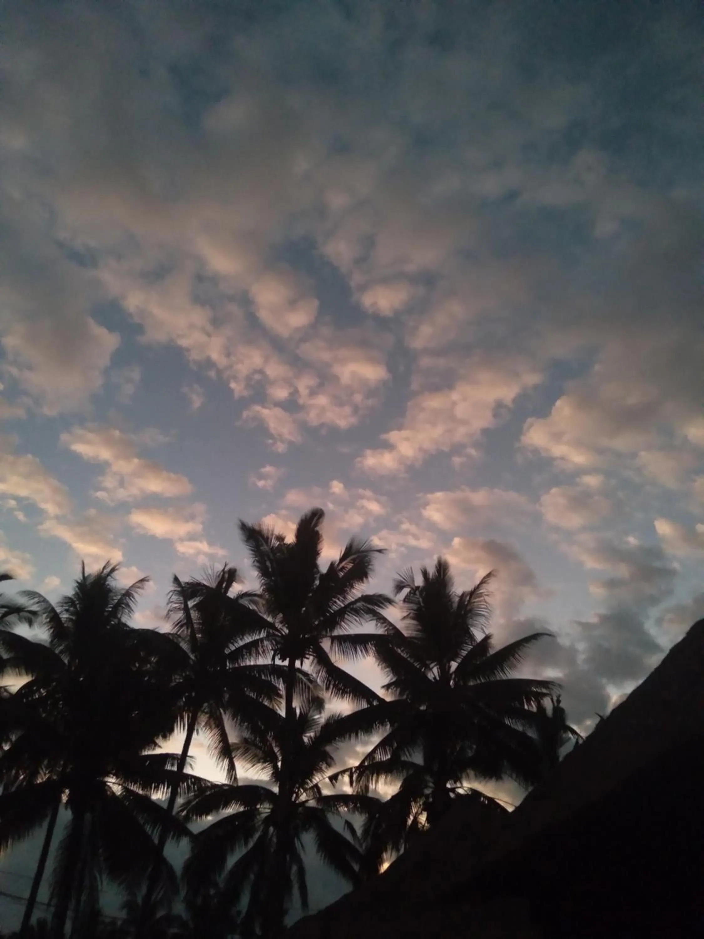 Natural landscape in Taman Bintang Villa Ubud