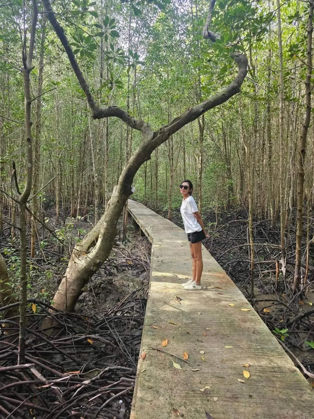 Nearby landmark in Calm at Bangphat