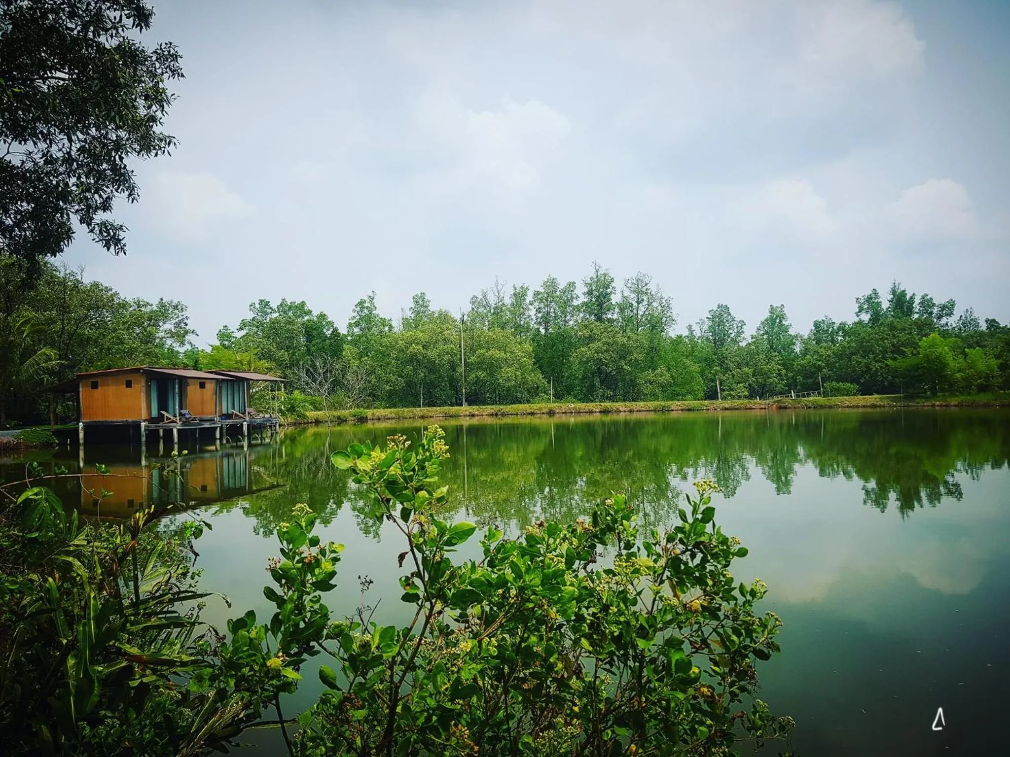 Property building in Calm at Bangphat