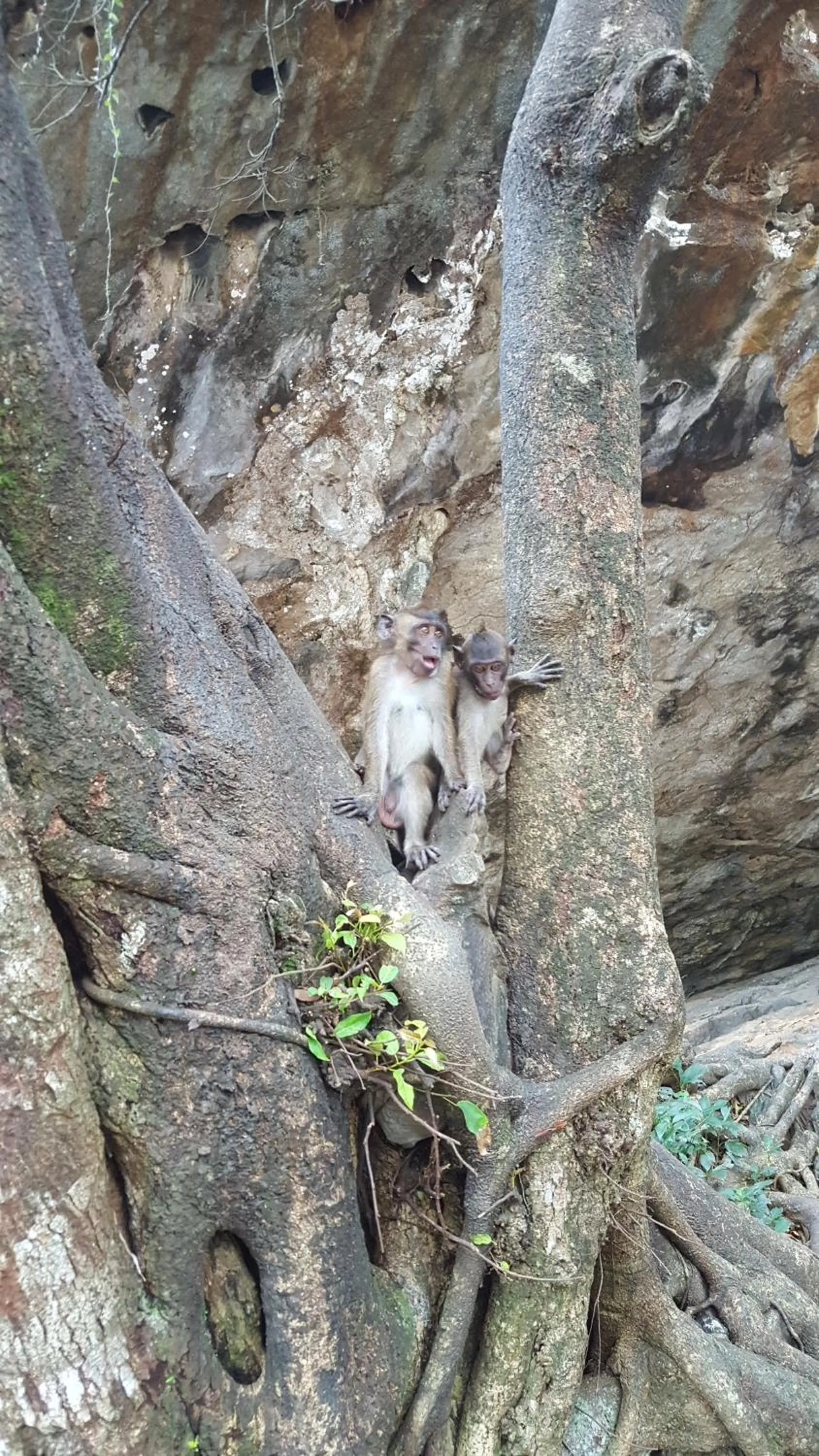 Nearby landmark in Calm at Bangphat