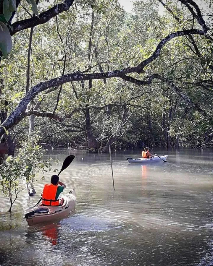 Canoeing in Calm at Bangphat