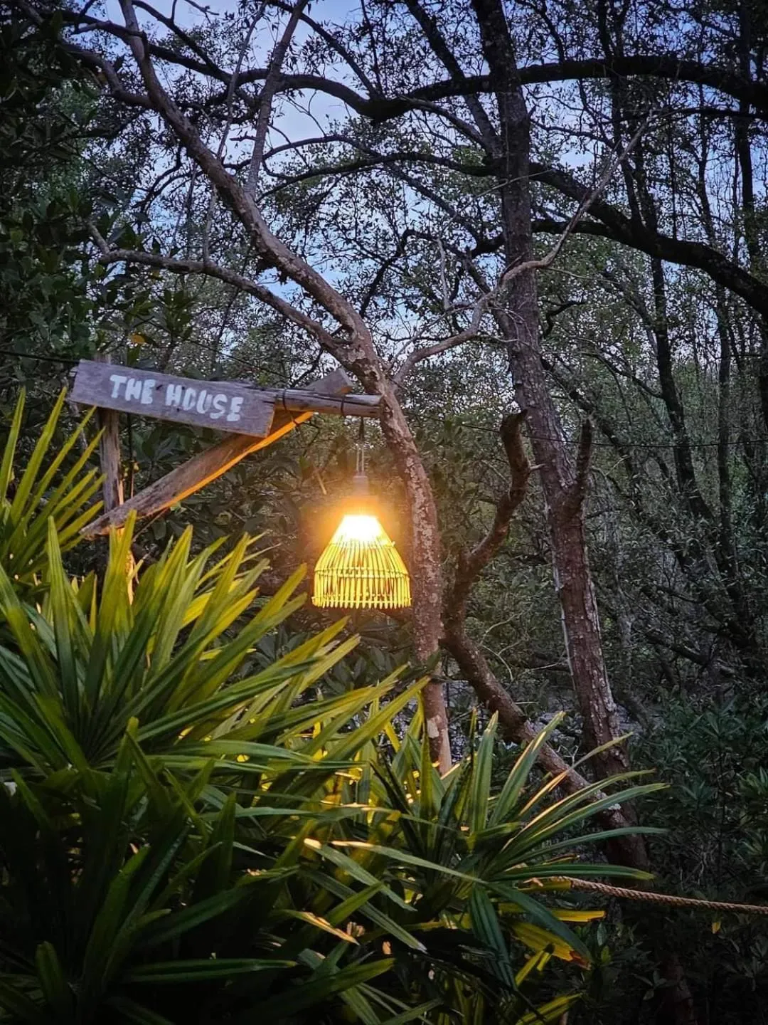 Garden in Calm at Bangphat