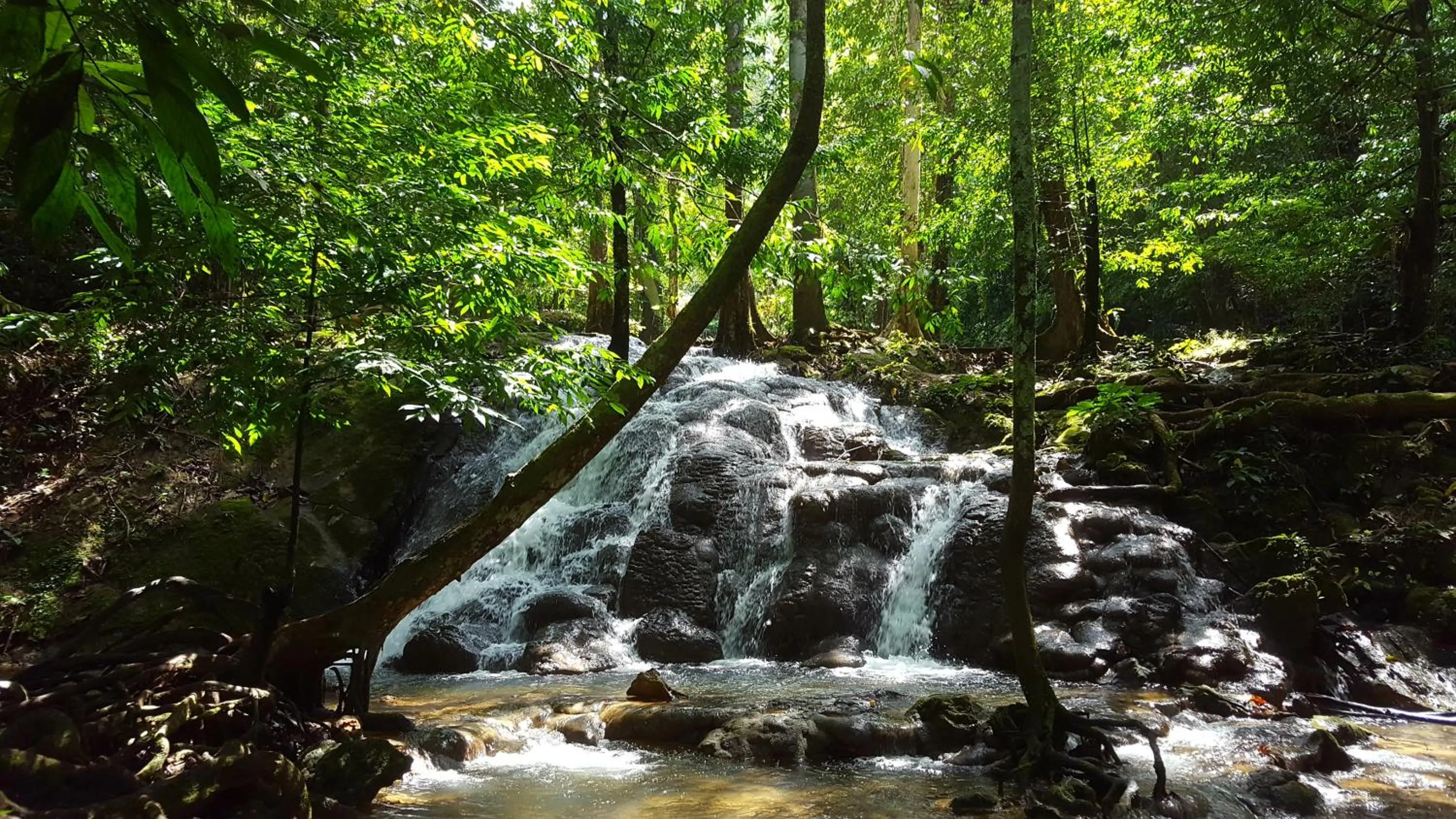 Nearby landmark in Calm at Bangphat