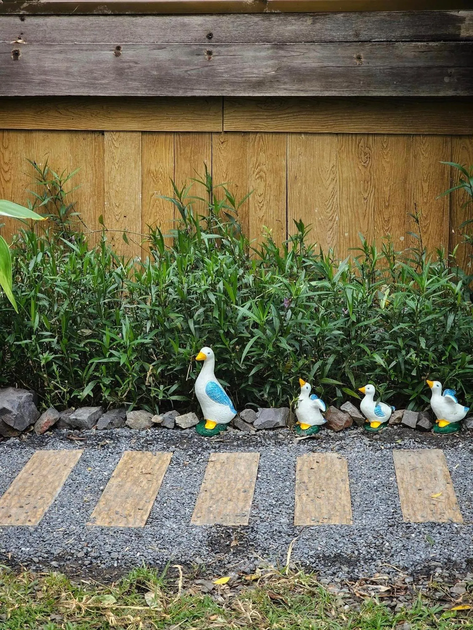 Garden in Calm at Bangphat