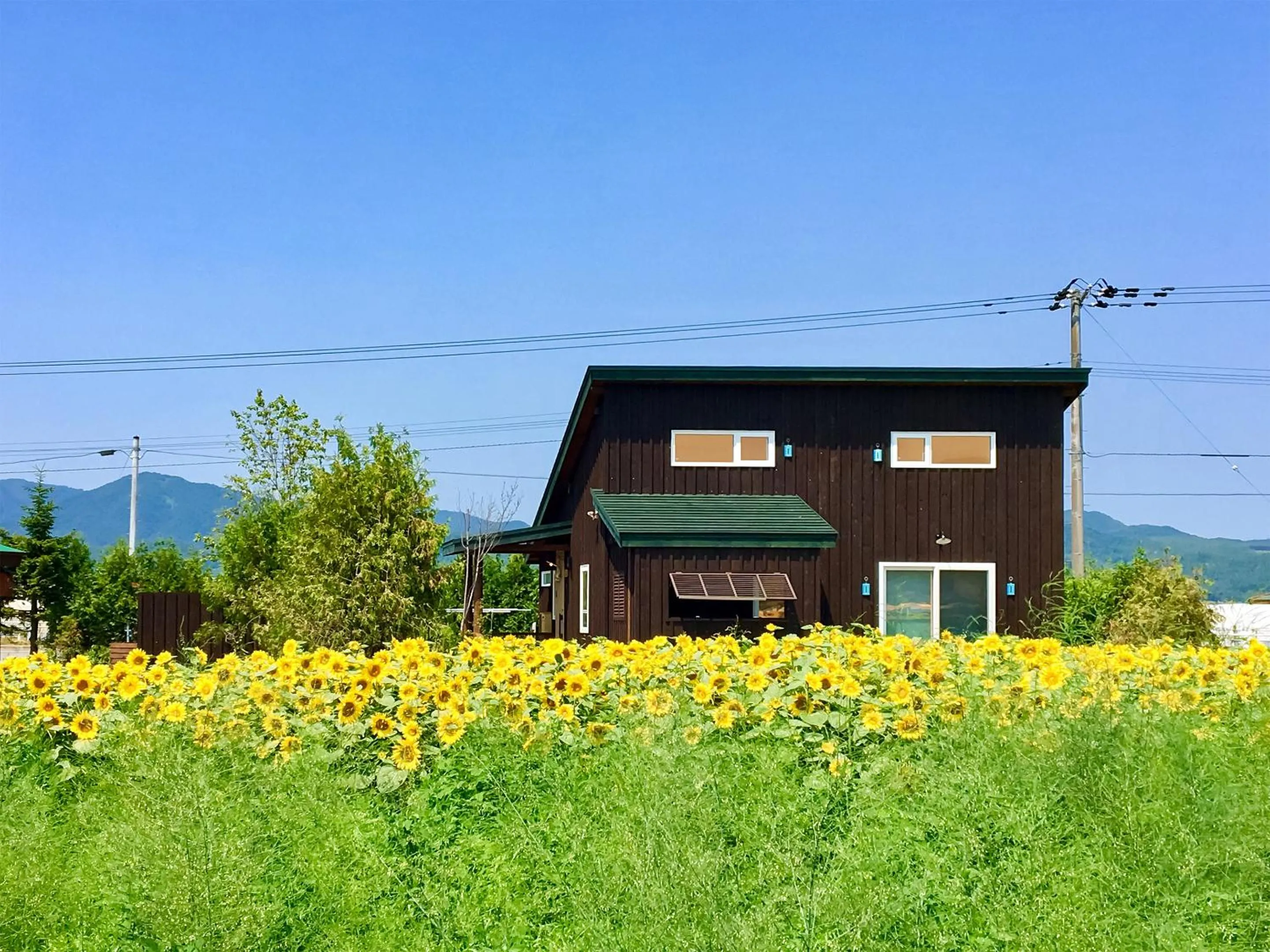 Property building in Country Cottage Wakiaiai