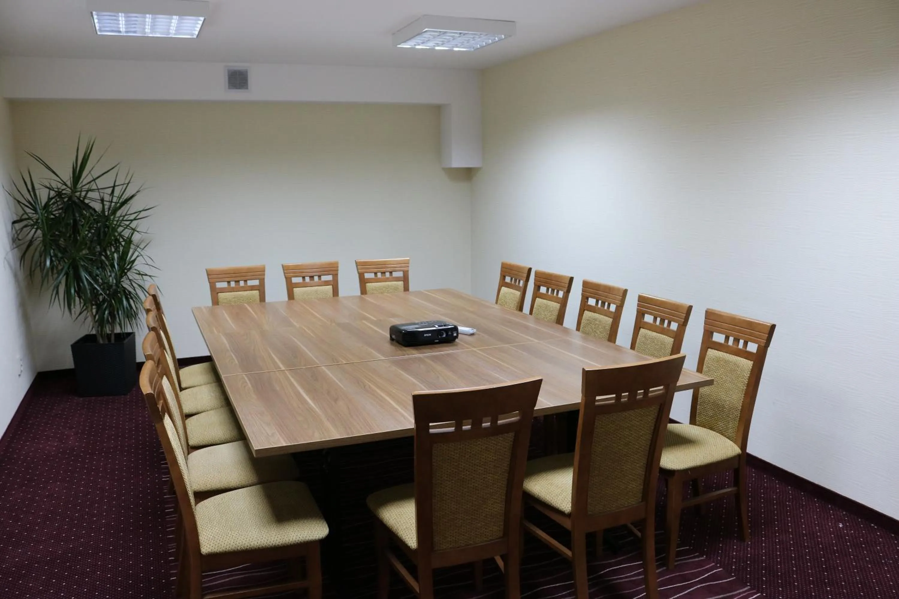 Business facilities in Hotel DYMINY