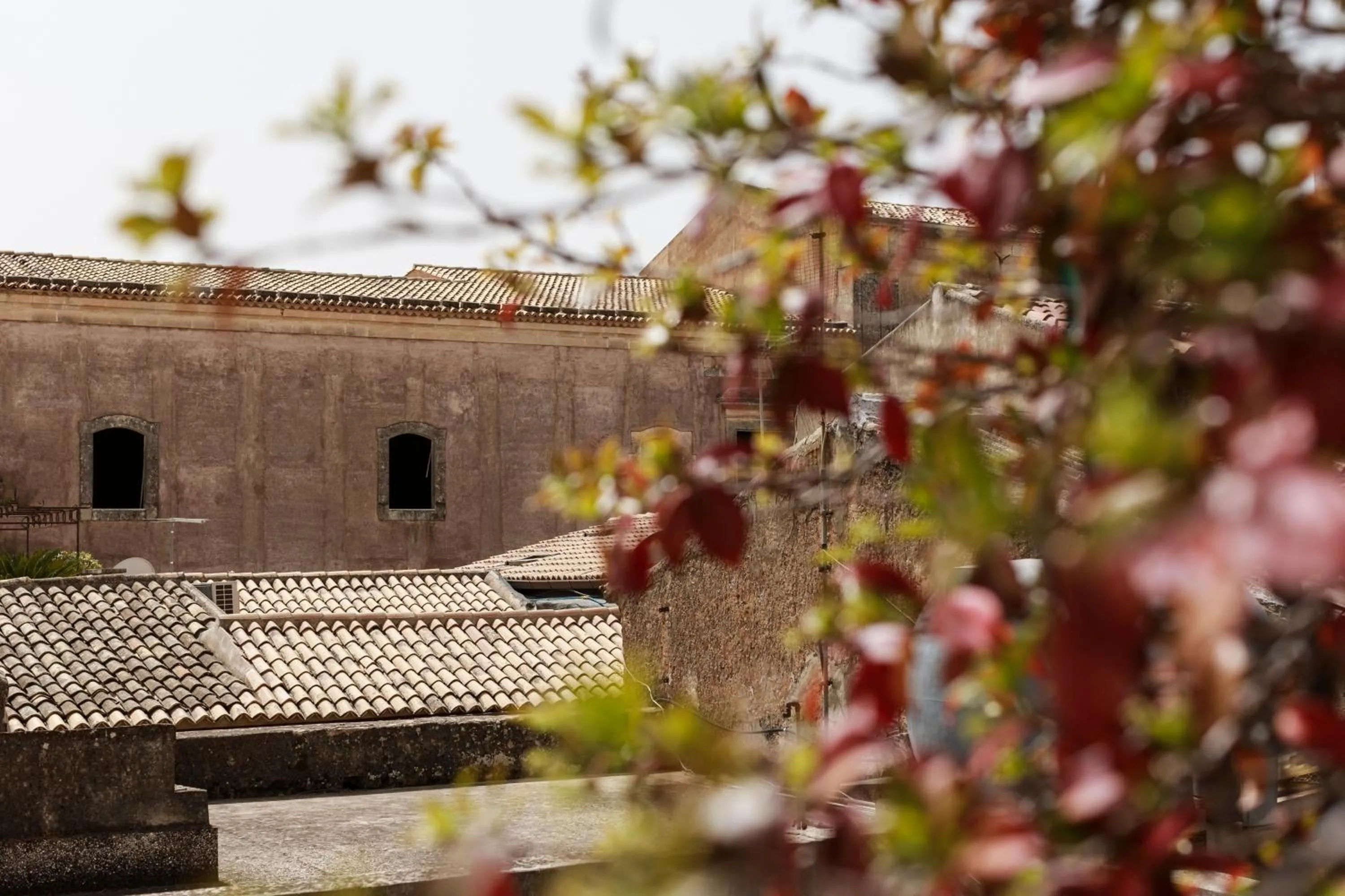 Spring in Embrace Sicily Guest House