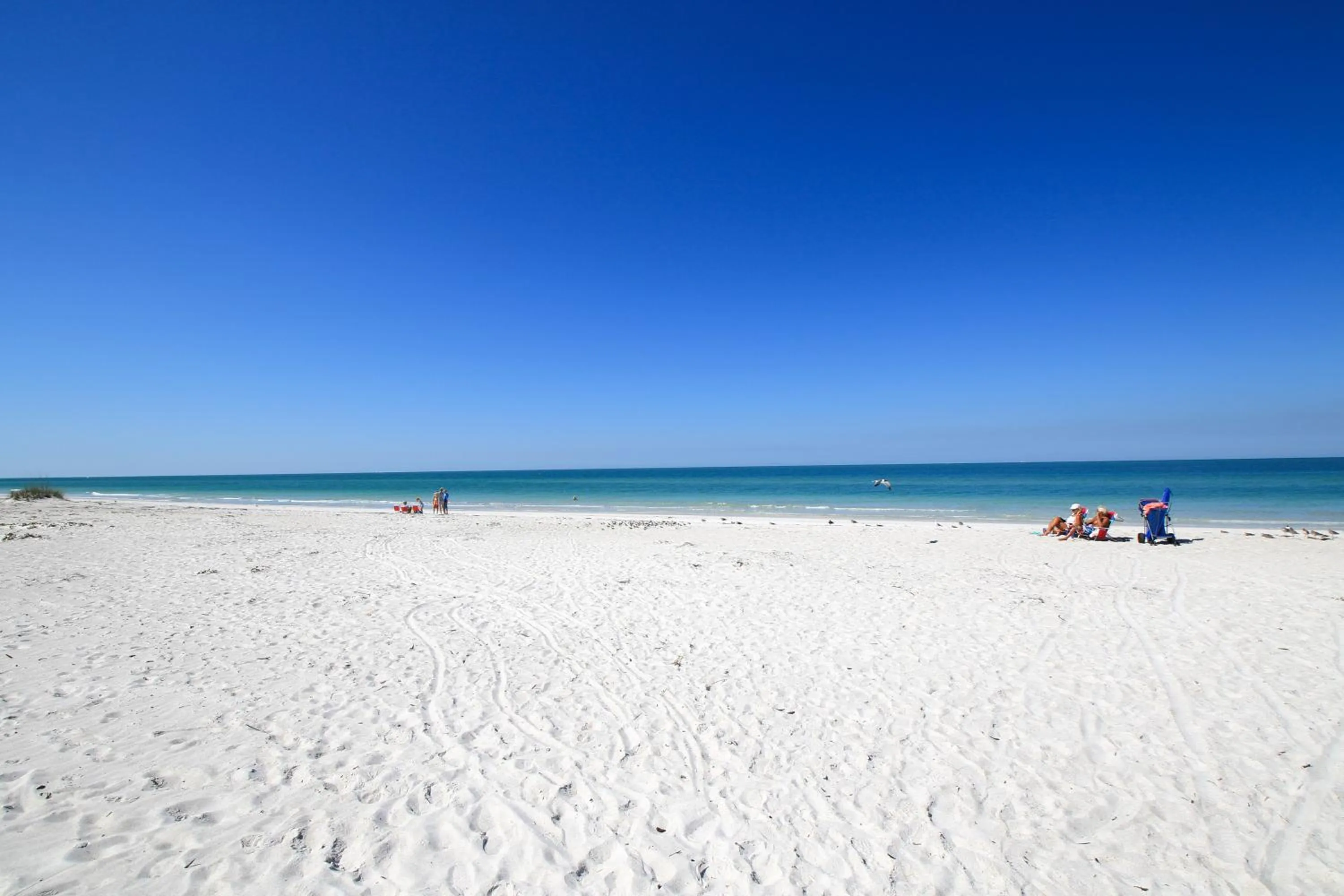 Property building in Anna Maria Island Beach Palms 7A