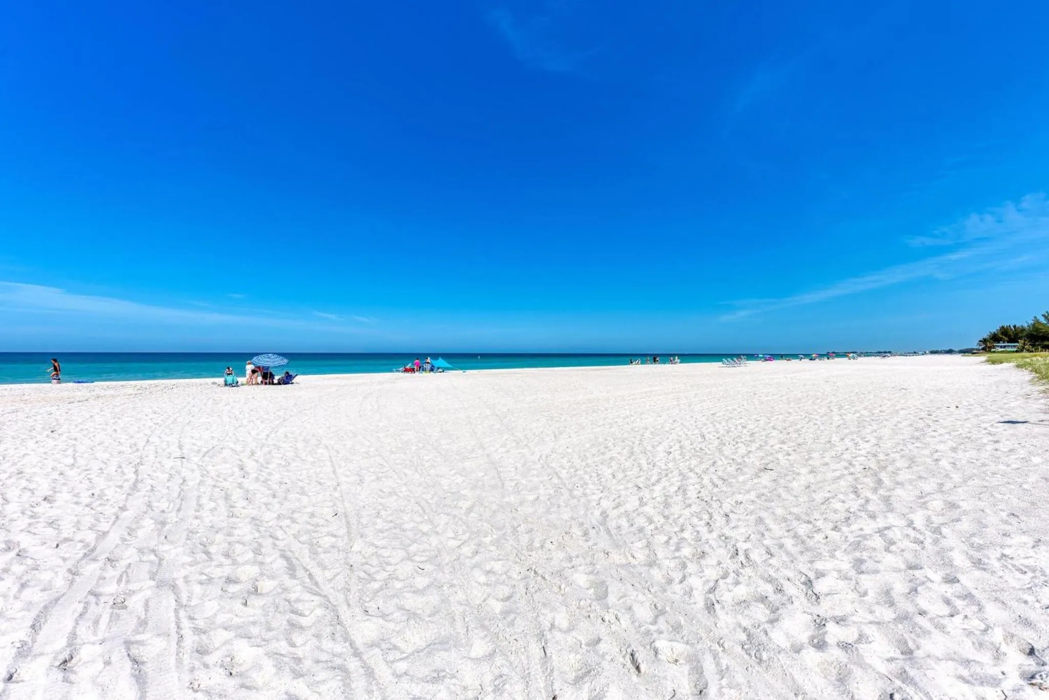 Anna Maria Island Beach Palms 6B