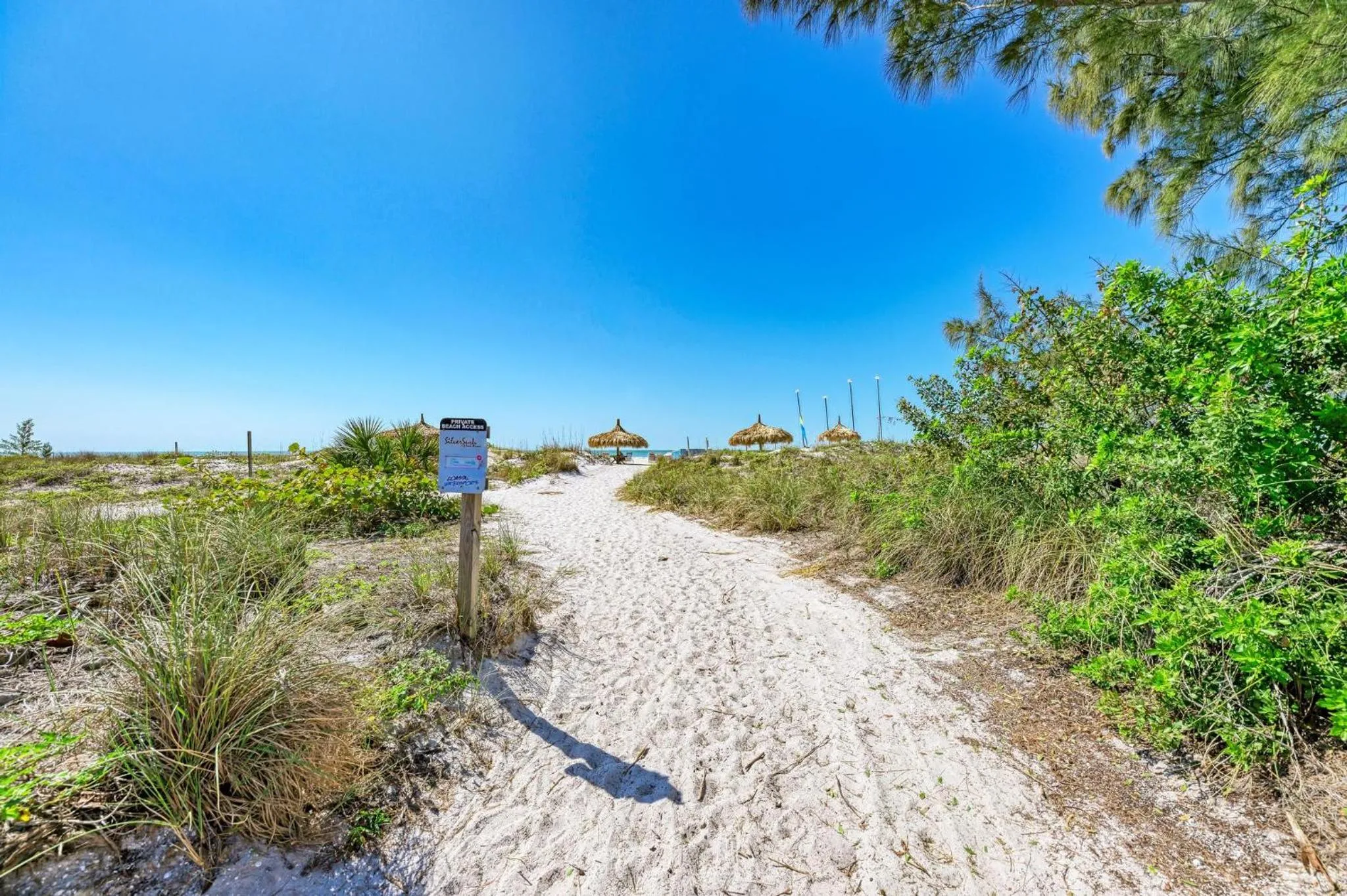 Property building in Anna Maria Island Beach Palms 6B