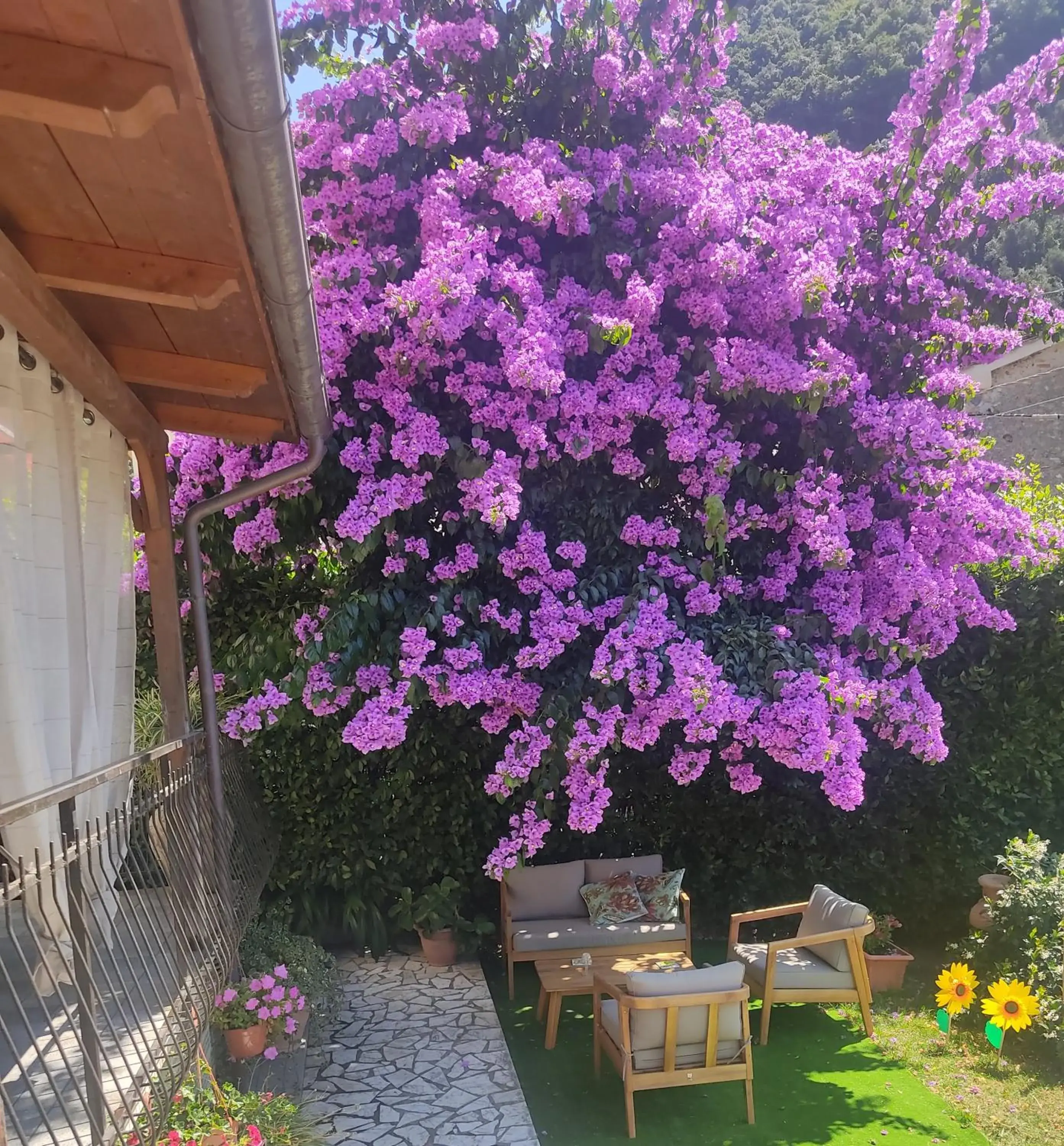 La Bouganville e Il Gelsomino La Bouganville e Il Gelsomino