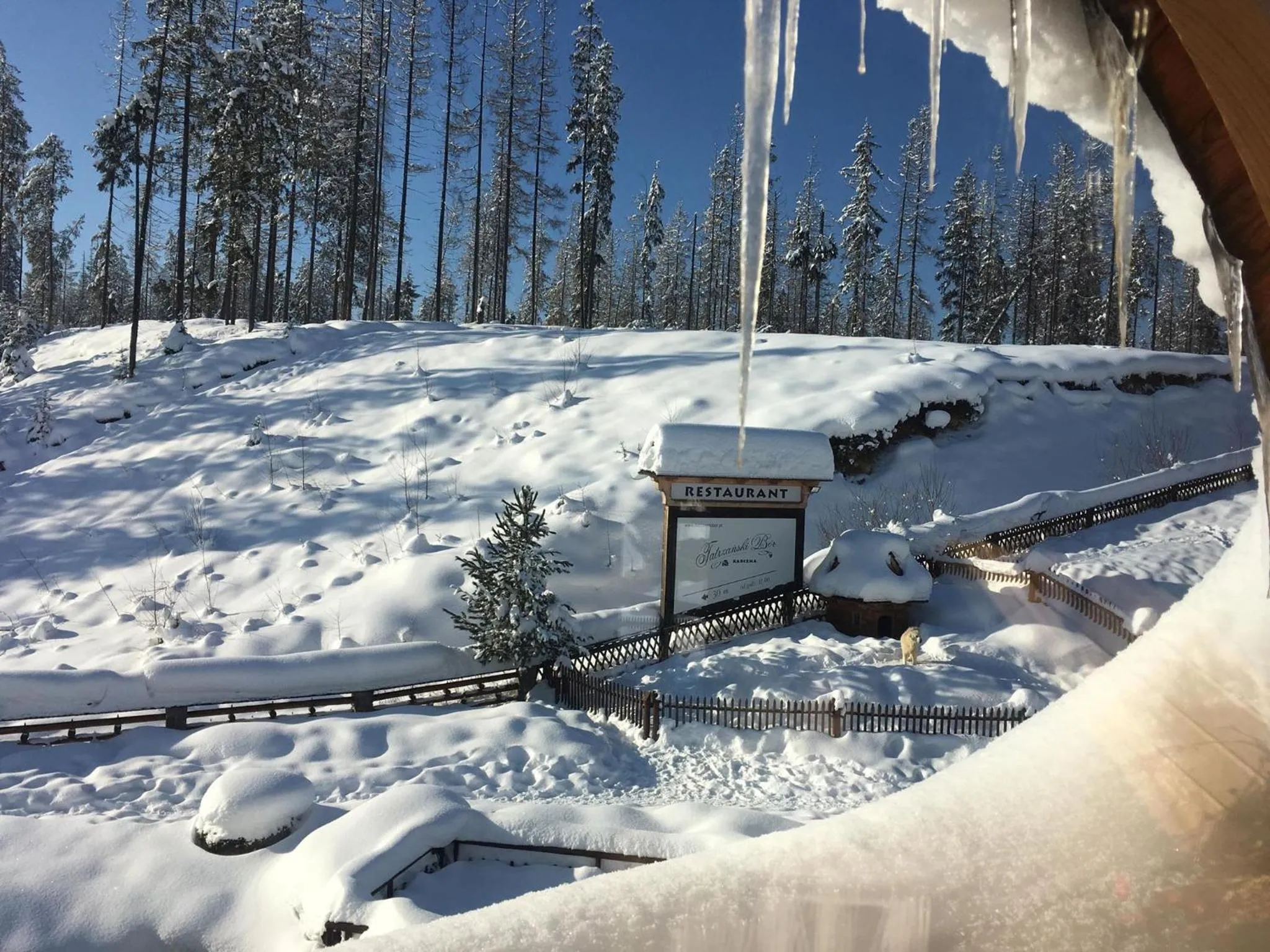 Restaurant/places to eat in Tatrzański Bór Apartamenty