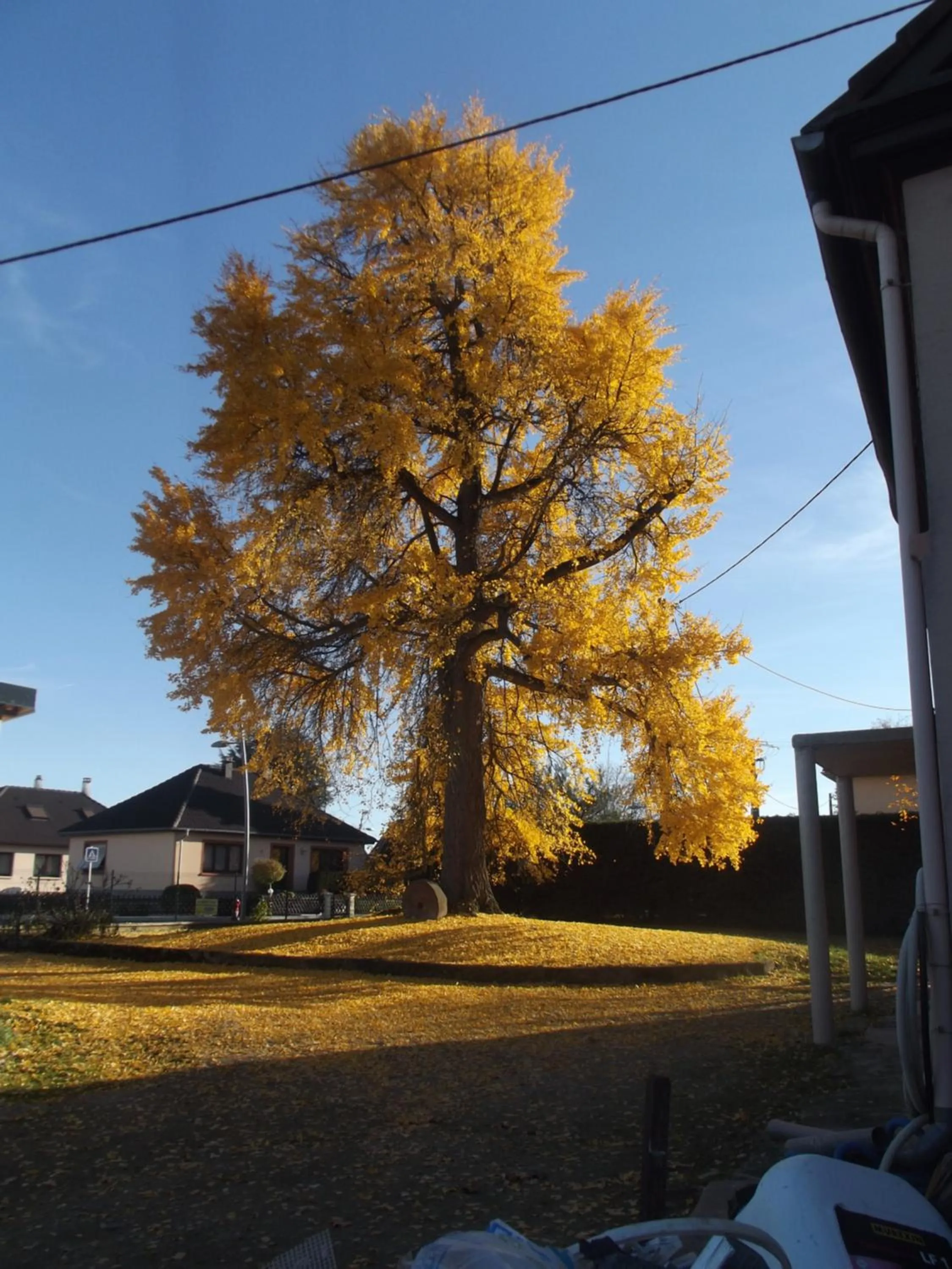 Property building in Le Moulin d'Oscar & Spa - Mulhouse Nord