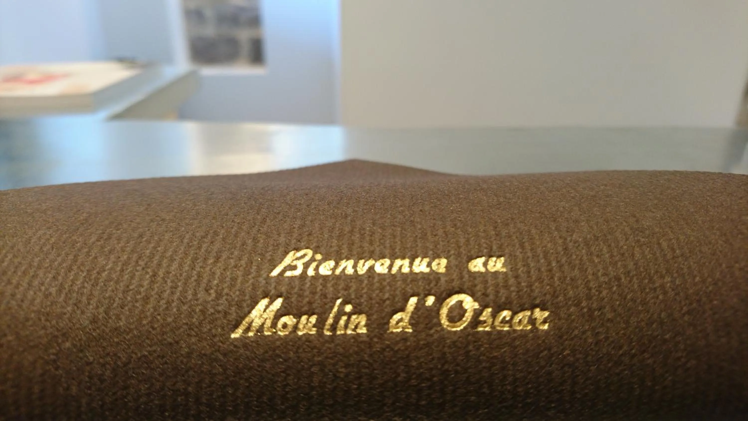 Property logo or sign in Le Moulin d'Oscar & Spa - Mulhouse Nord