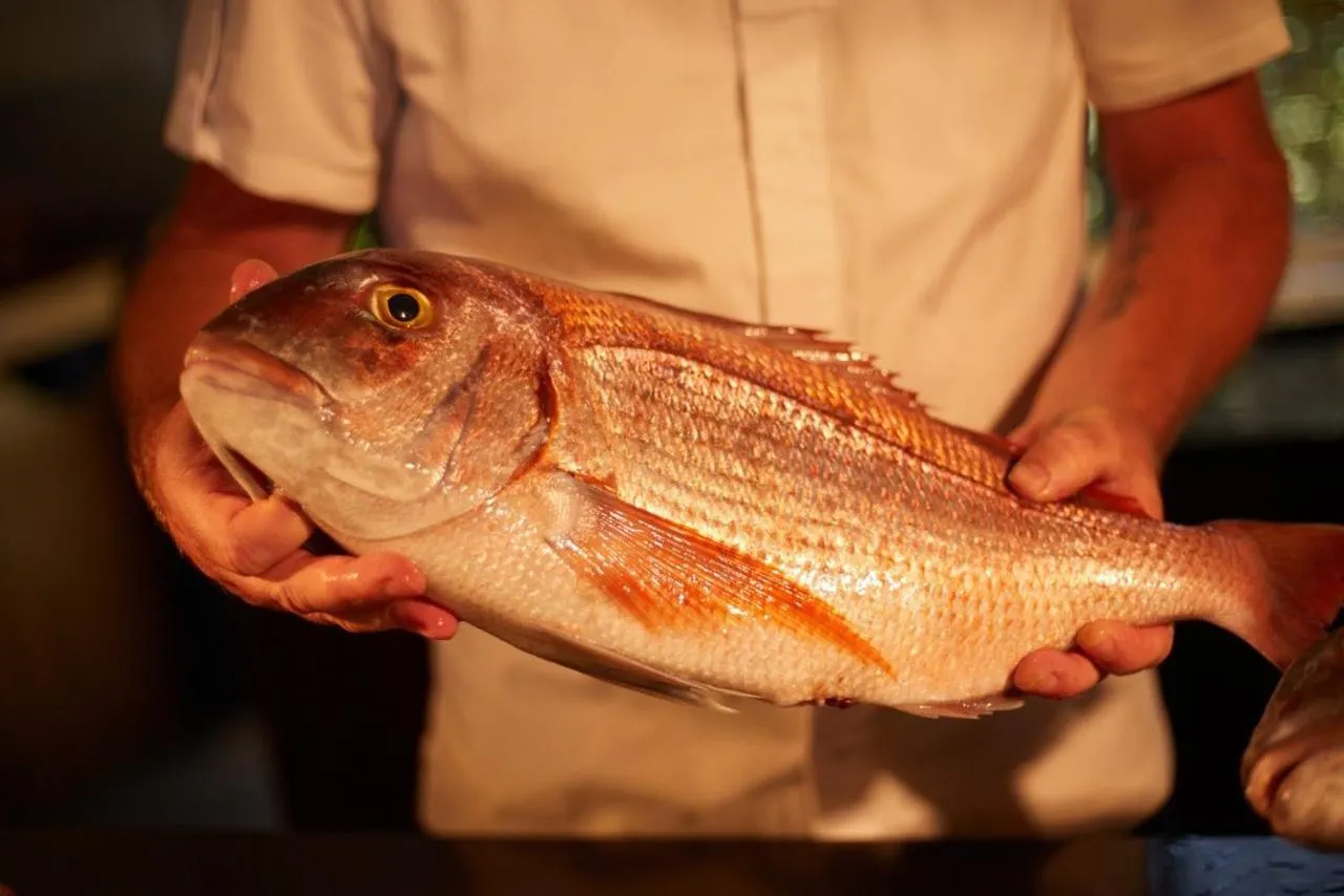 Restaurant/places to eat in Pleta de Mar, Grand Luxury Hotel by Nature - Adults Only