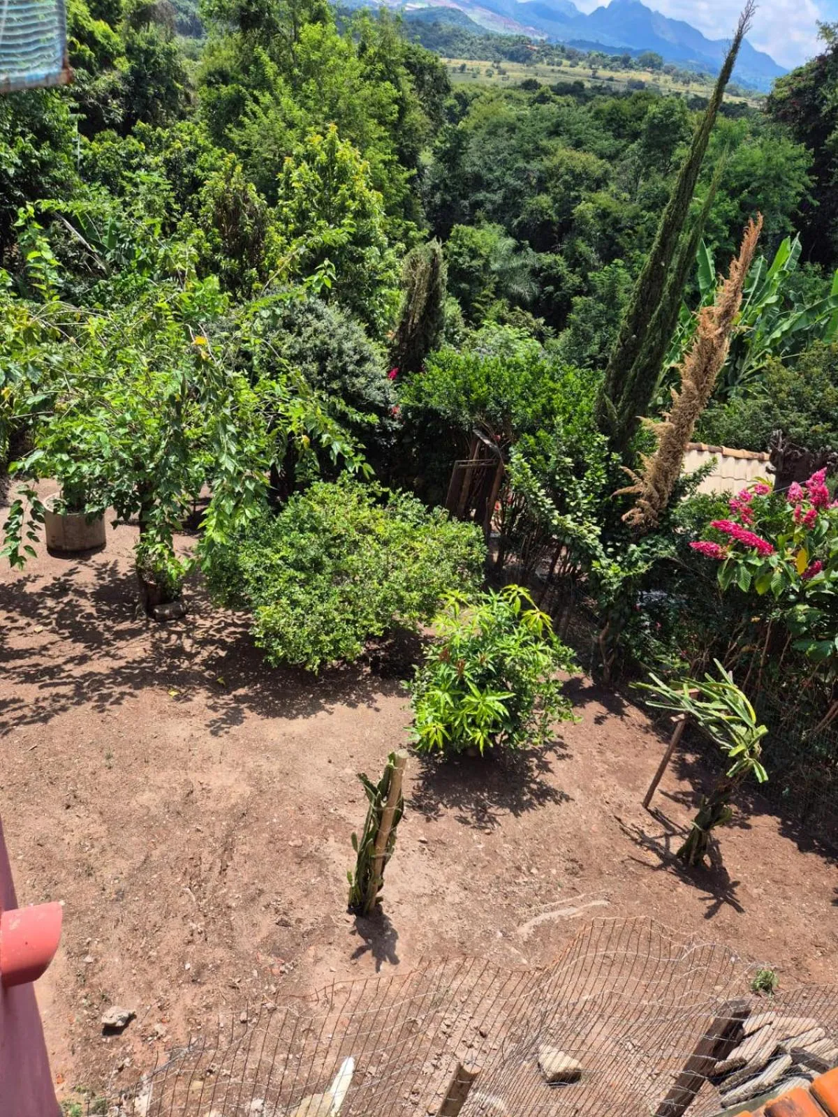 Garden view in Pousada Verde Villas