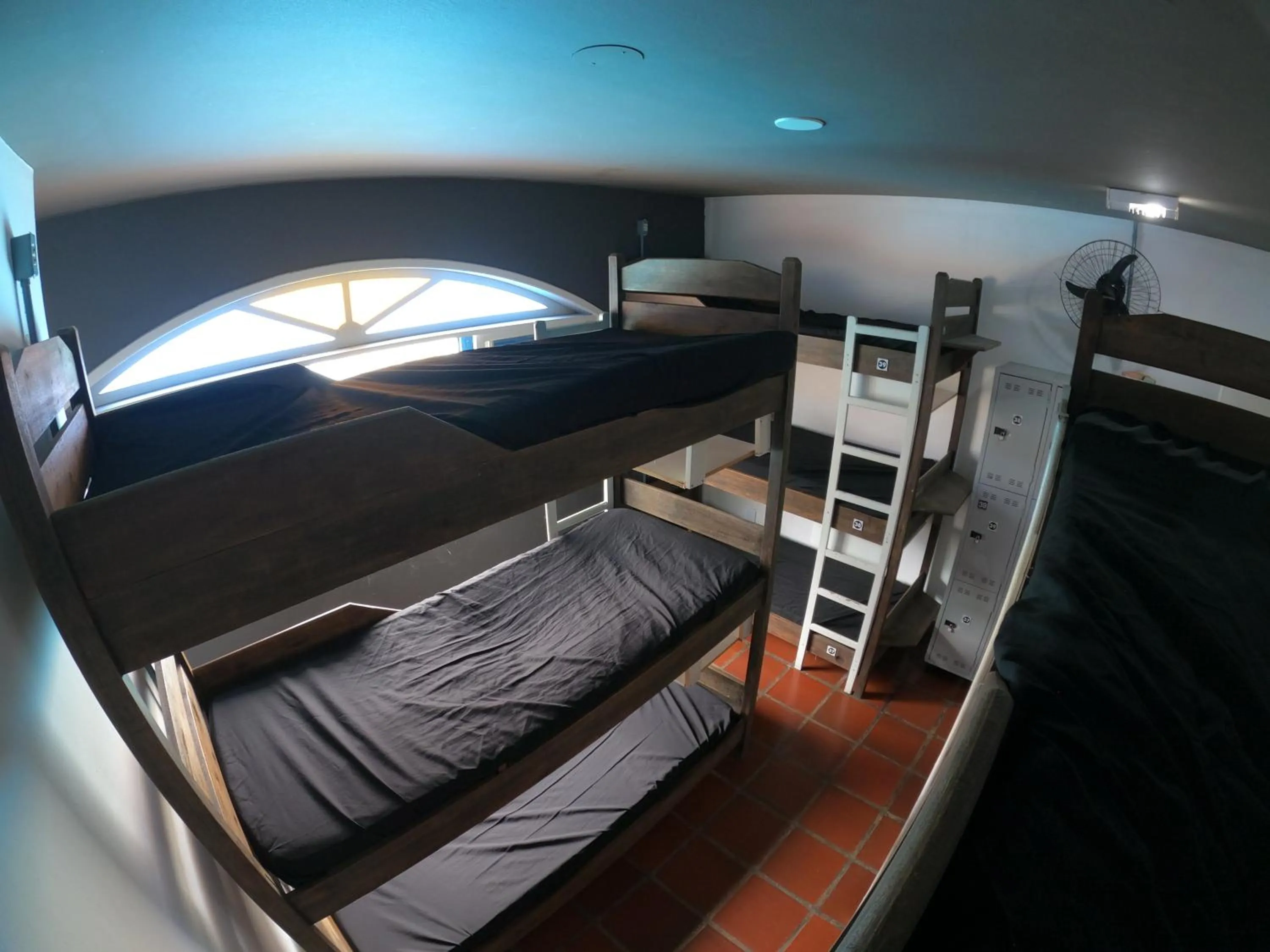 bunk bed, Bed in World Hostel - Canasvieiras