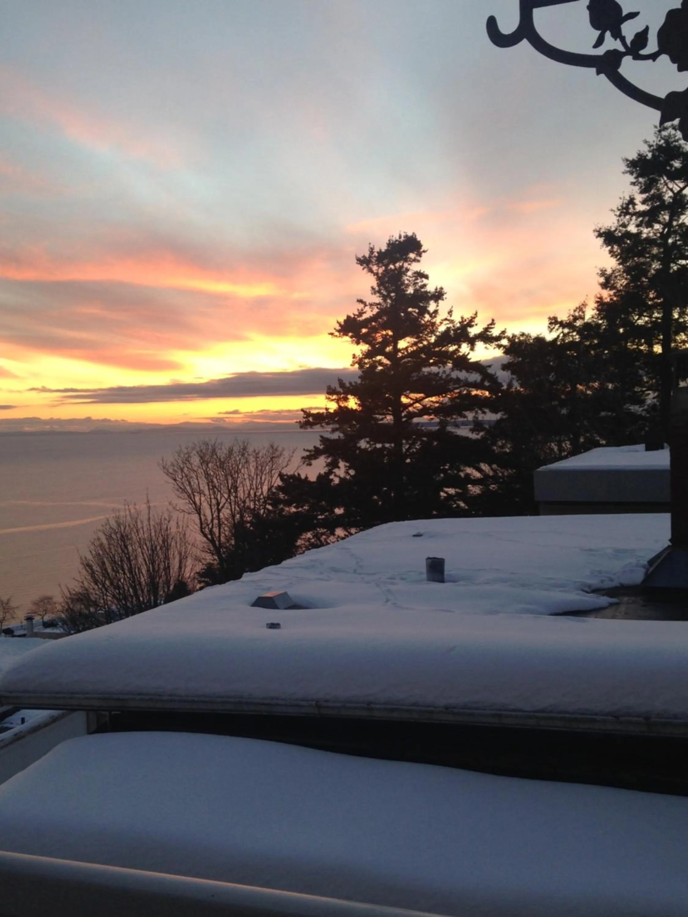 Garden view in Donna's Bed & Breakfast