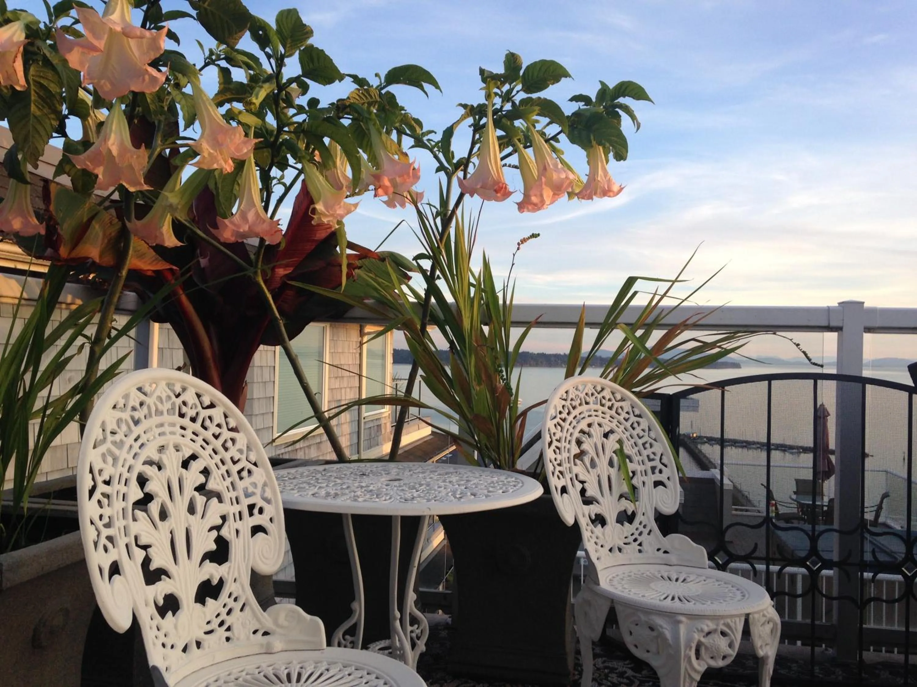 Property building in Donna's Bed & Breakfast