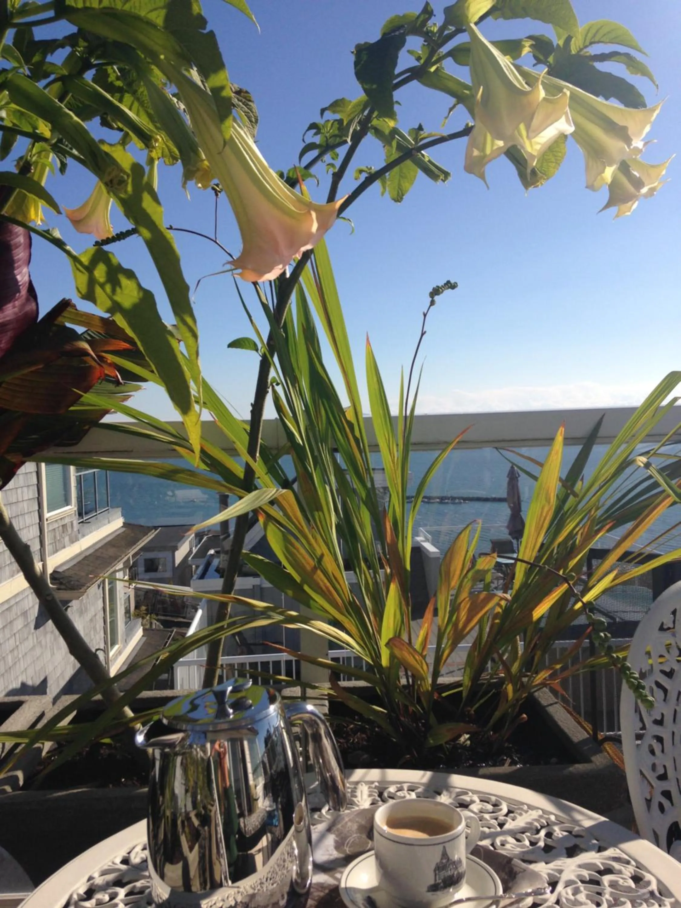 Property building in Donna's Bed & Breakfast