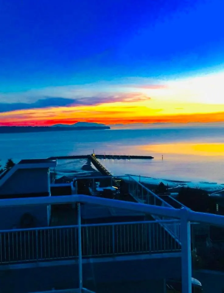 Natural landscape in Donna's Bed & Breakfast