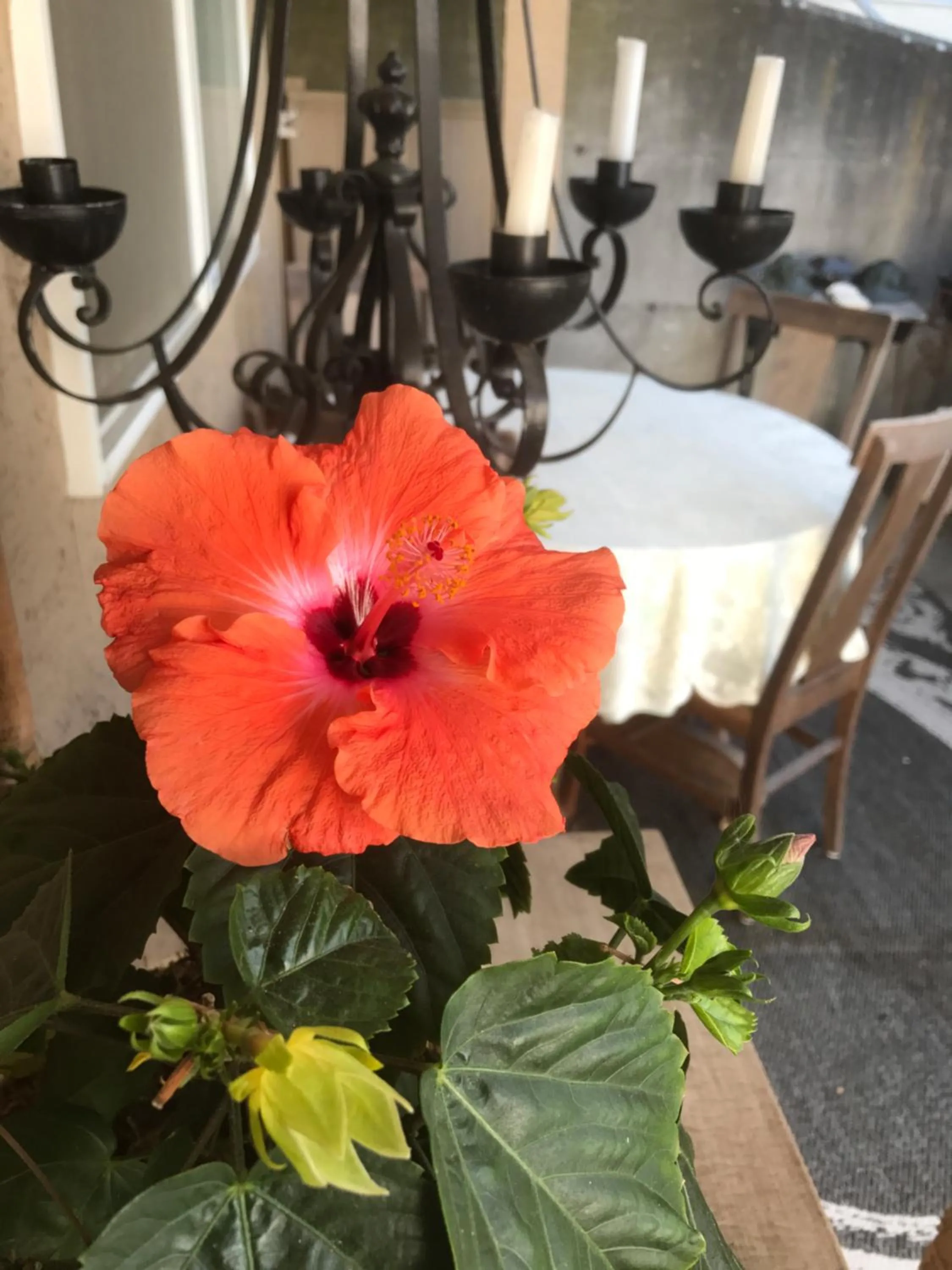 Property building in Donna's Bed & Breakfast