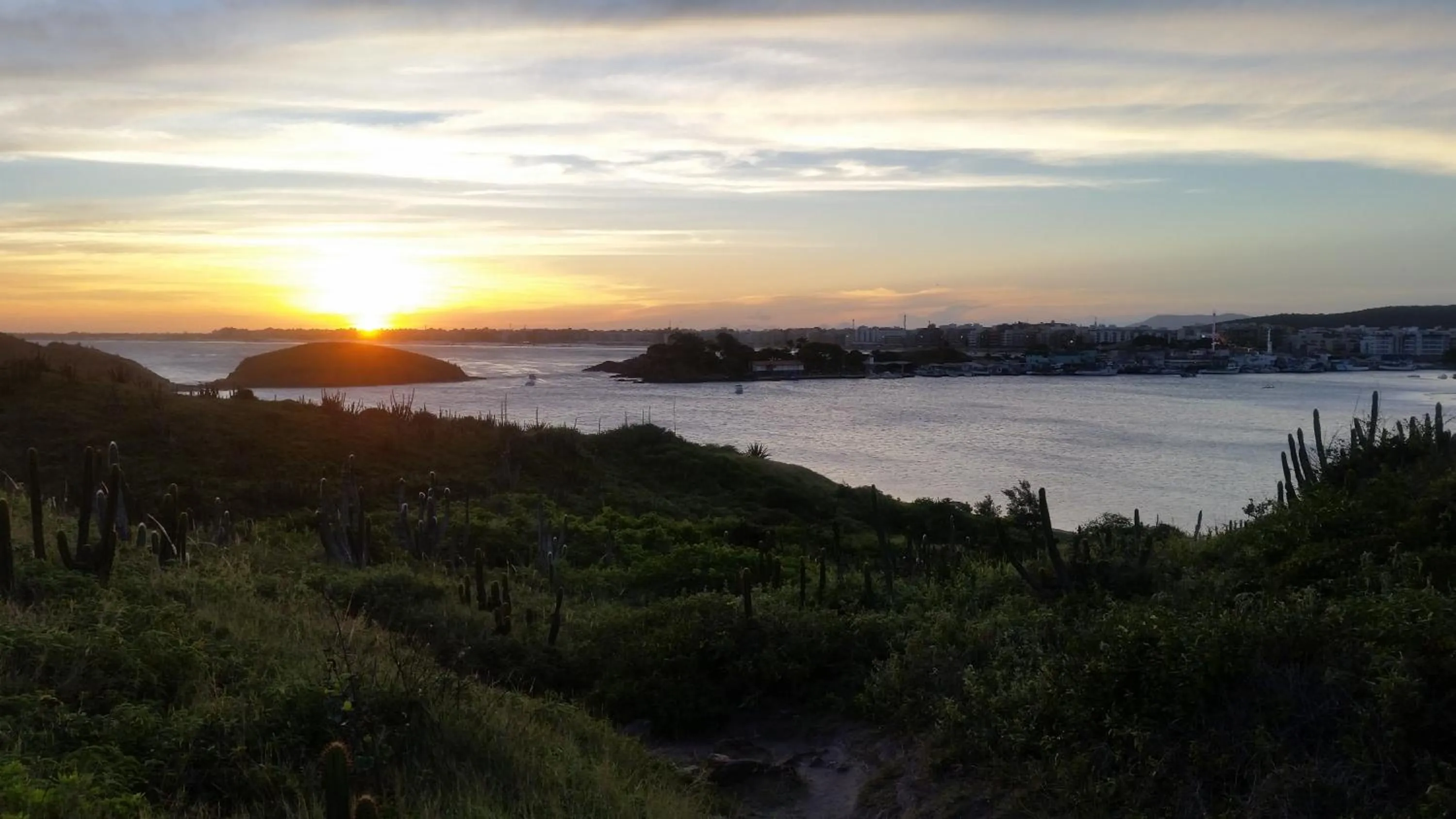 Summer in Container Eco Suítes