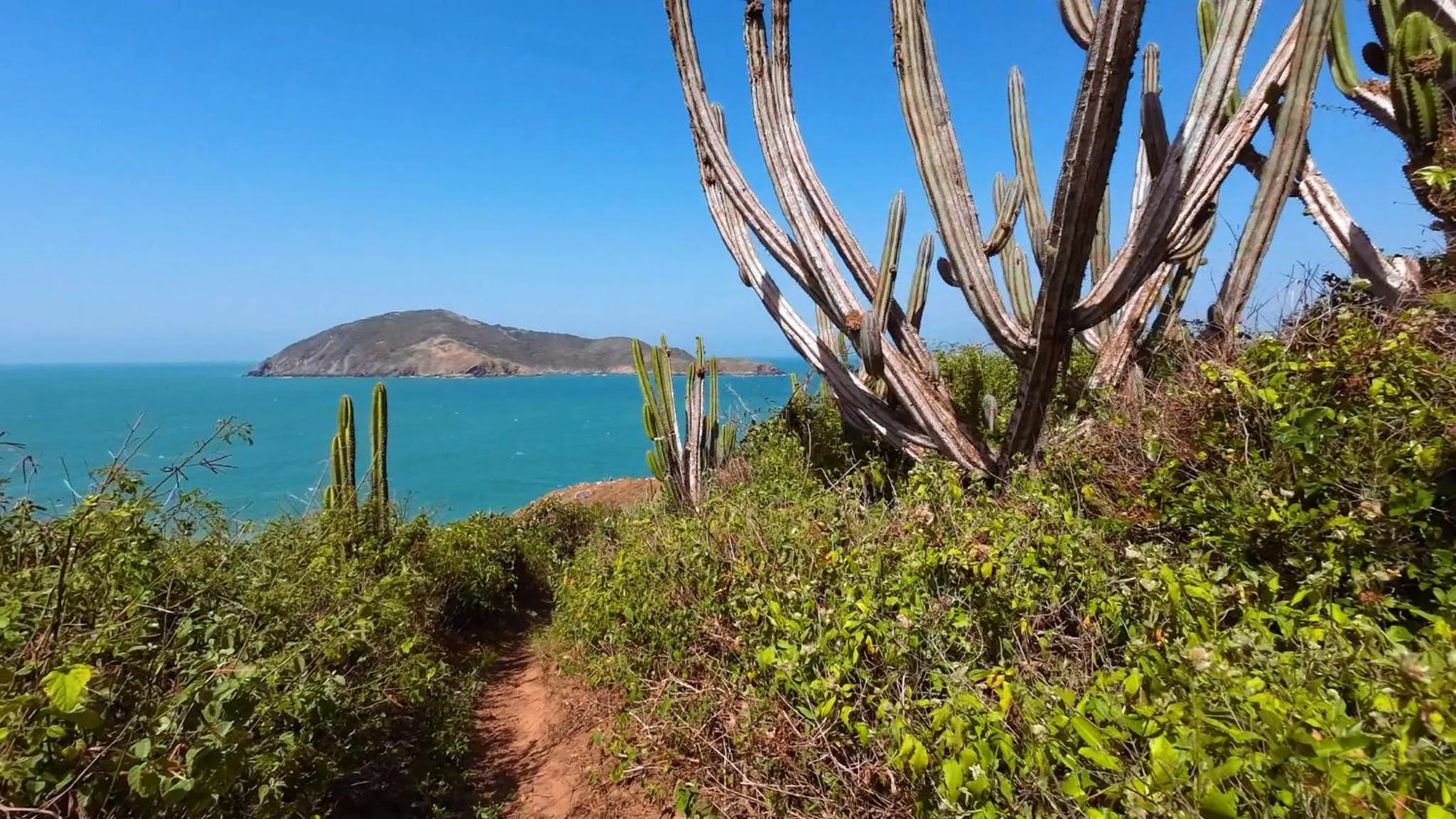 Container Eco Suítes