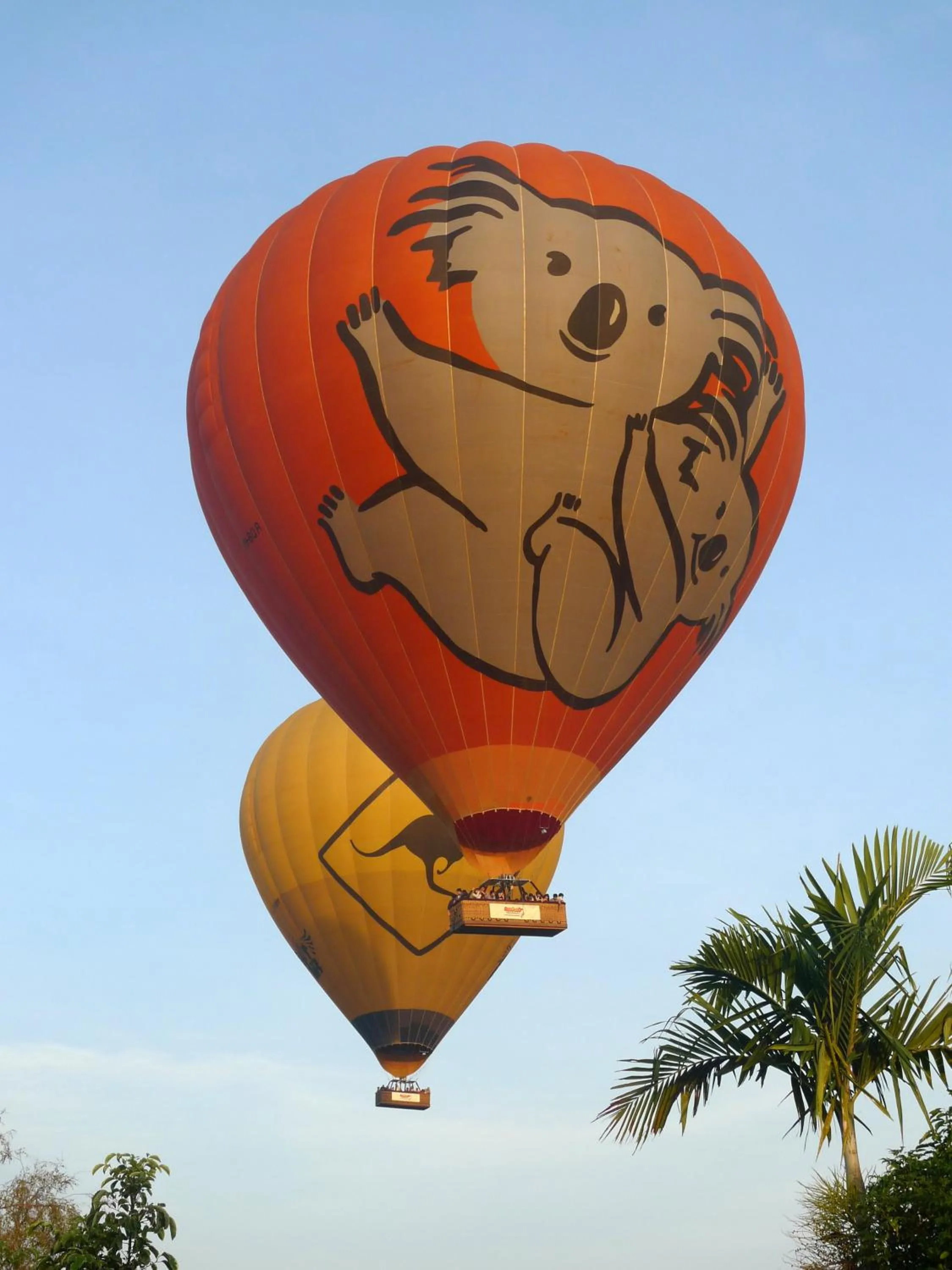 Activities in Jackaroo Motel