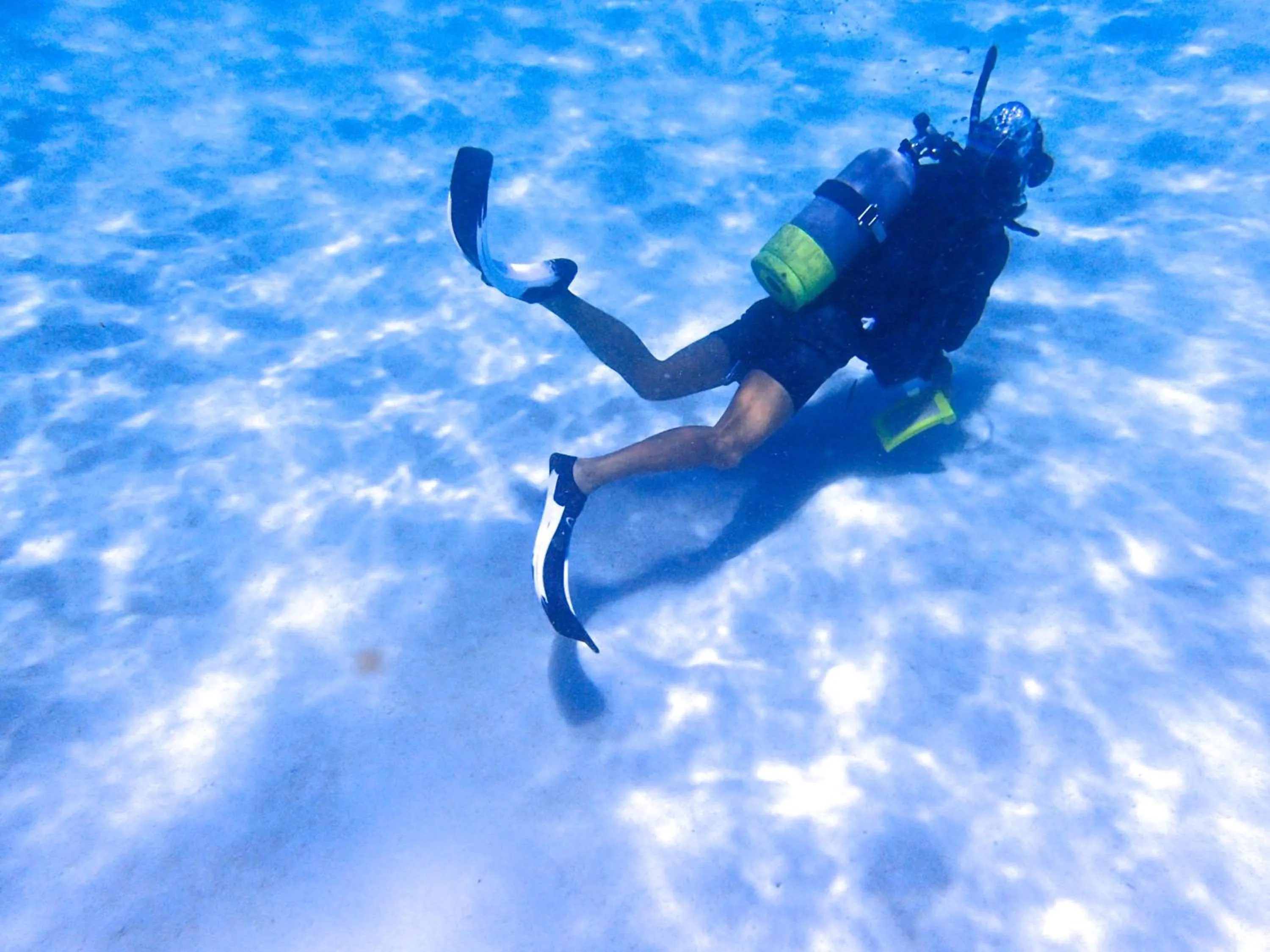 Diving in Kerama Terrace