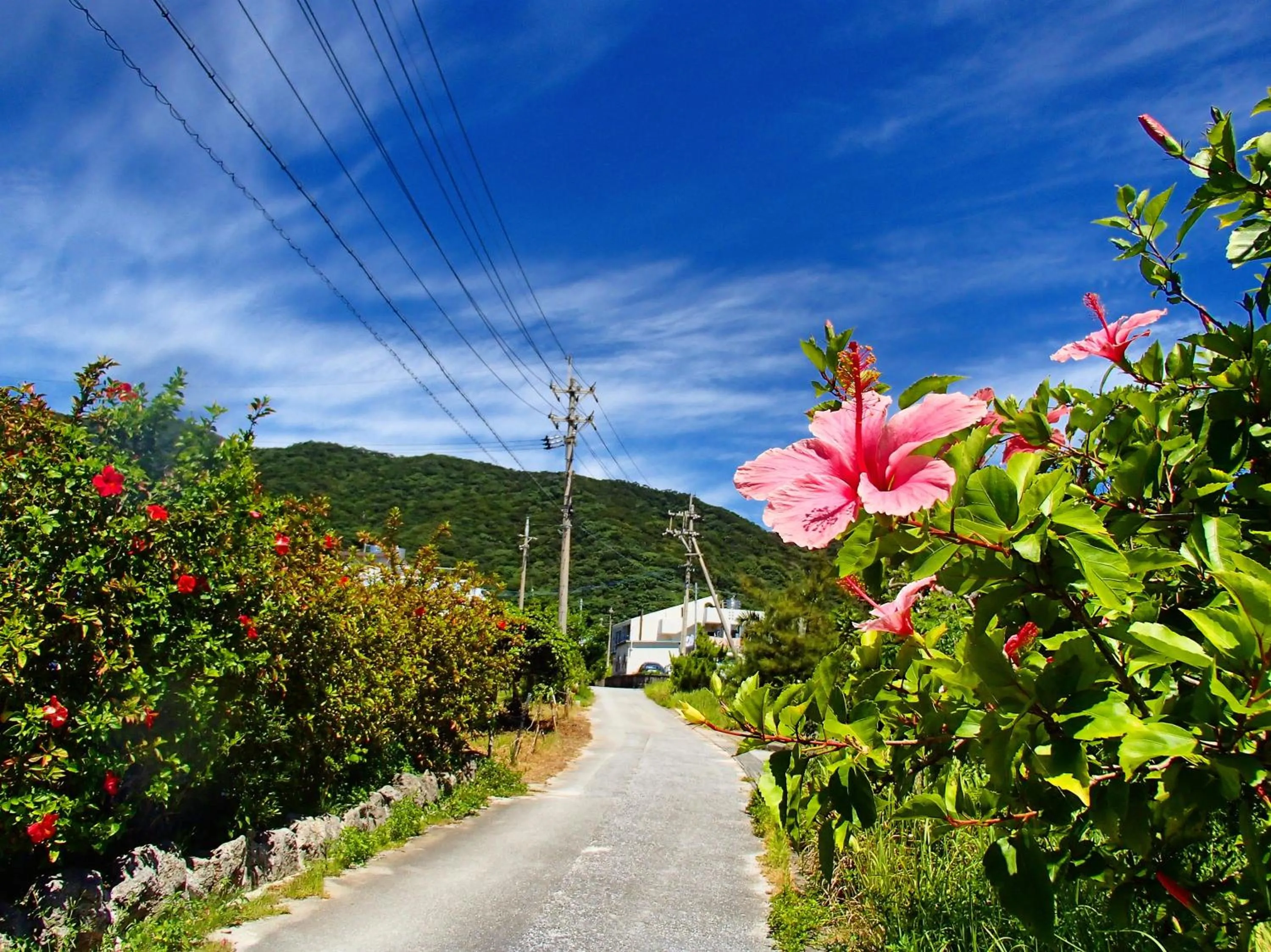 Neighbourhood in Kerama Terrace
