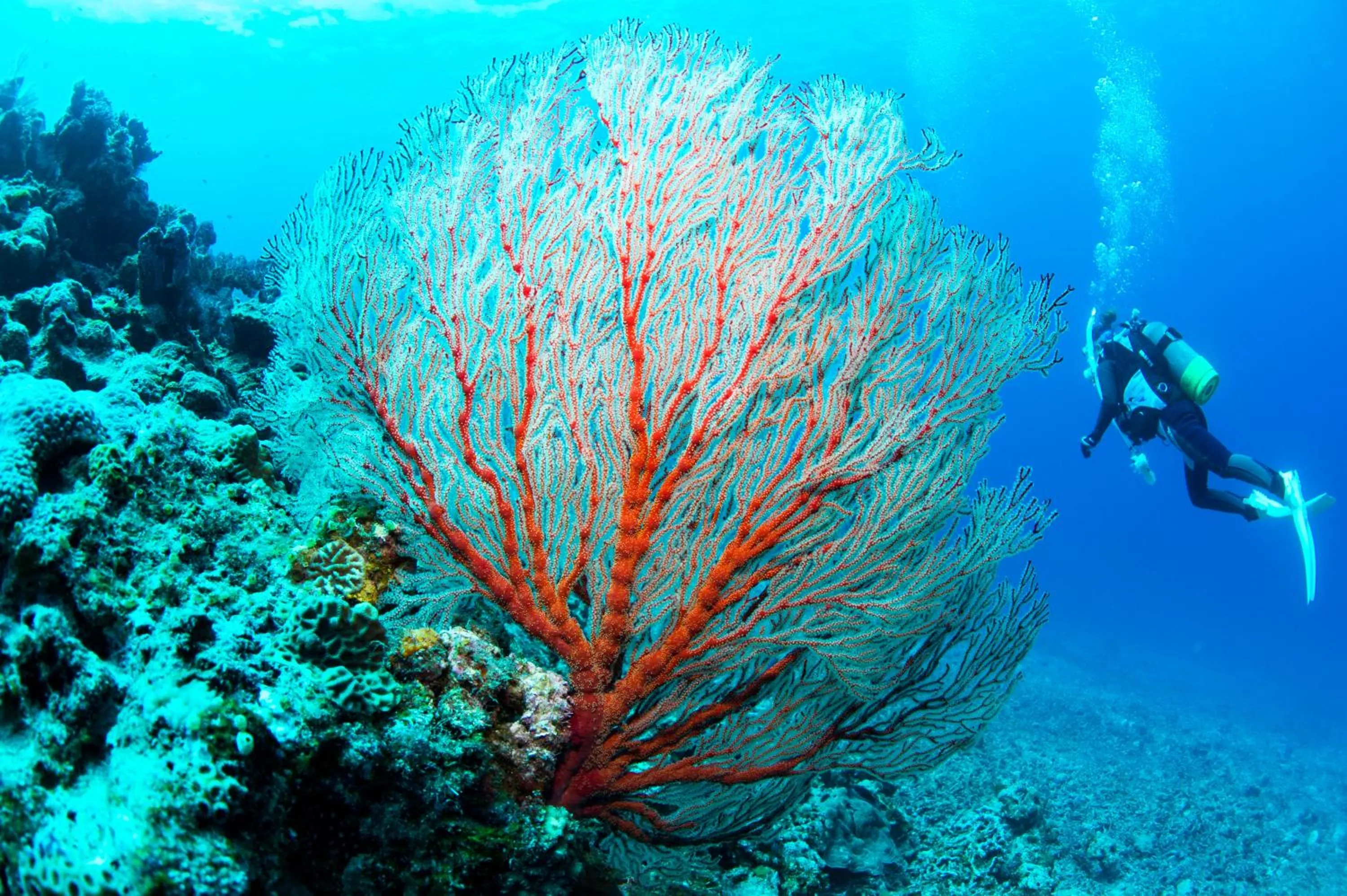 Natural landscape in Kerama Terrace