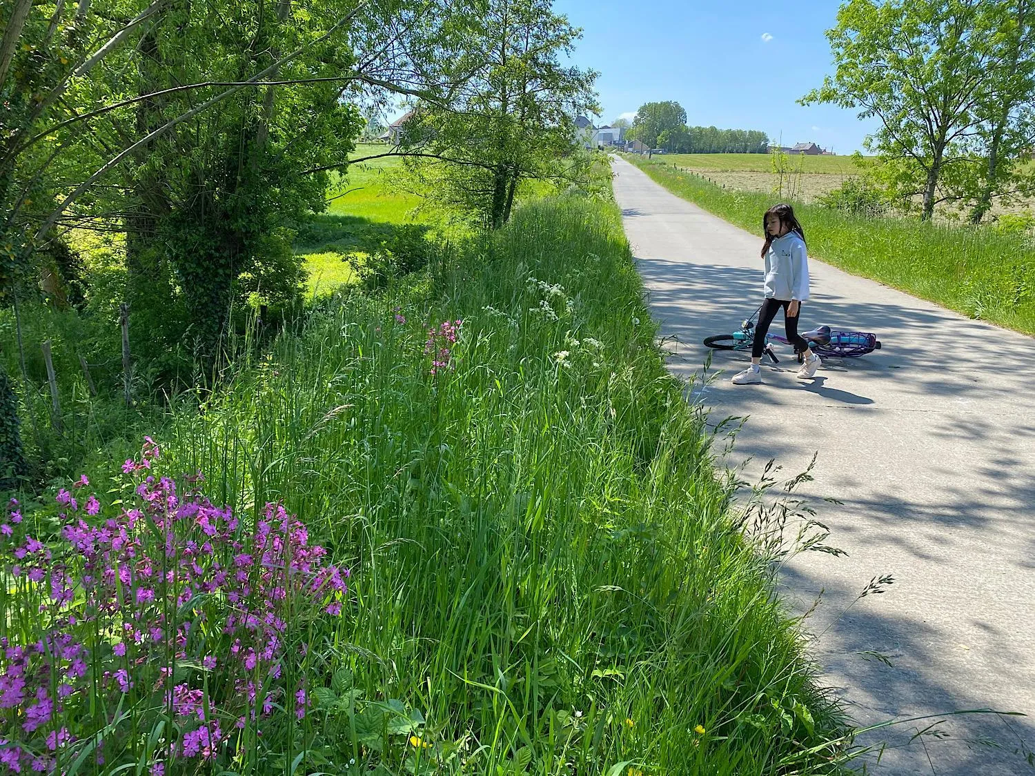 Horenbecca Bistro & Wellness