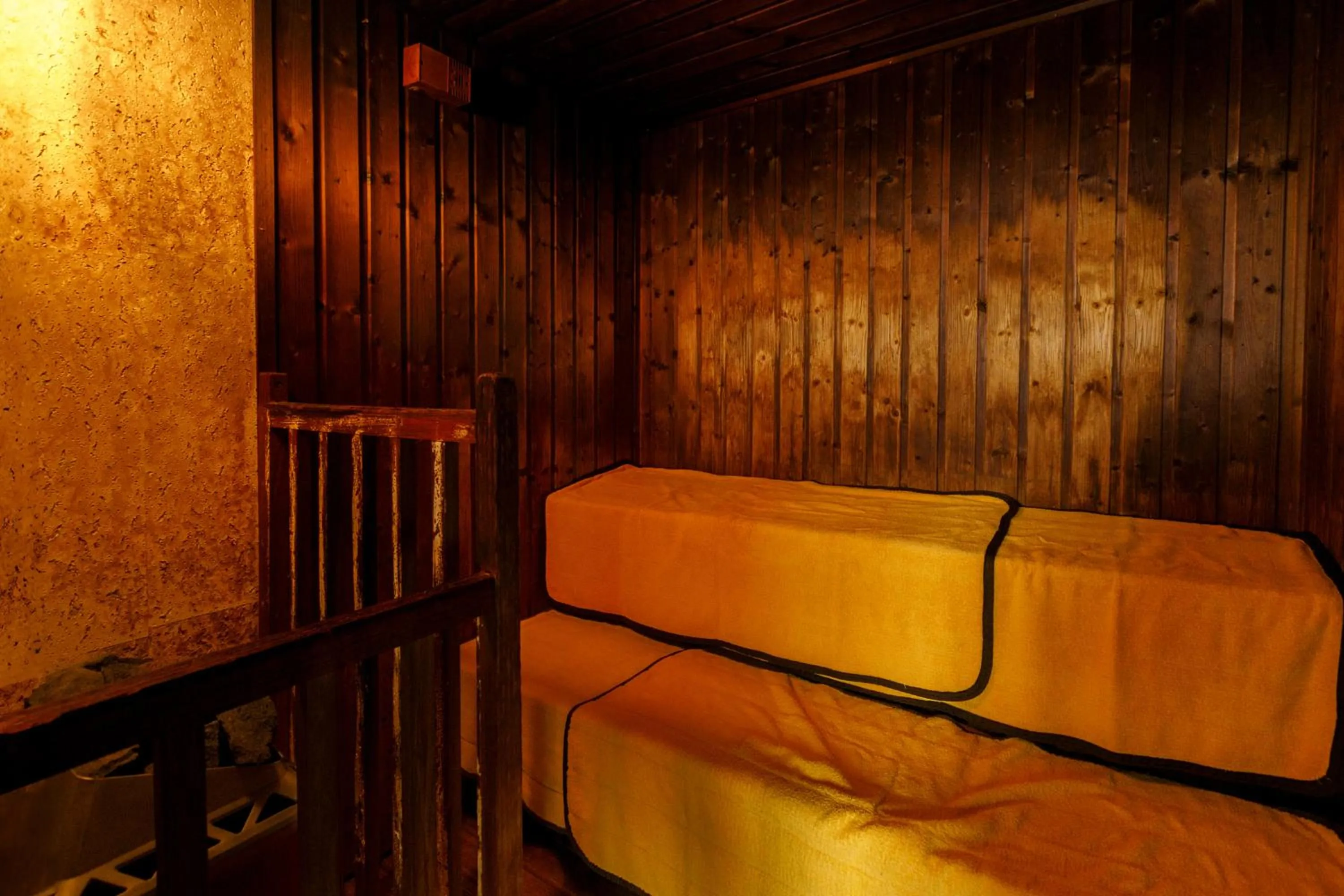 Sauna in Hita Onsen Kizantei Hotel