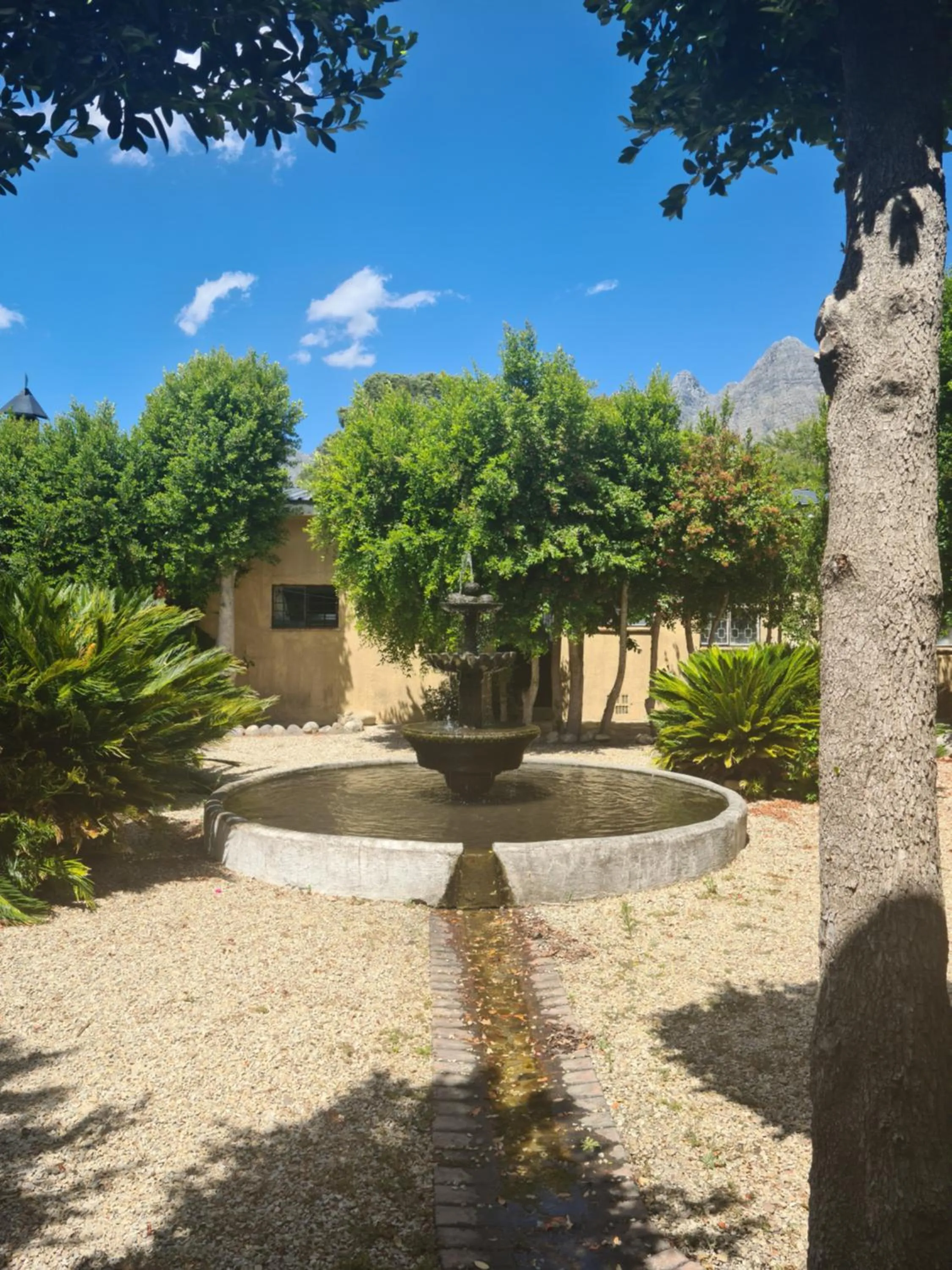 Garden view in Du Kloof Lodge