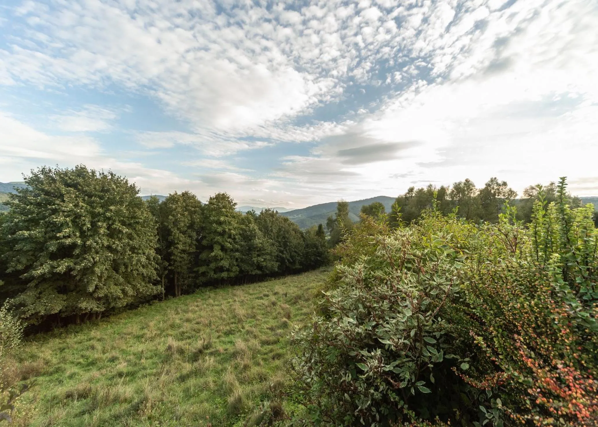Domek Widok